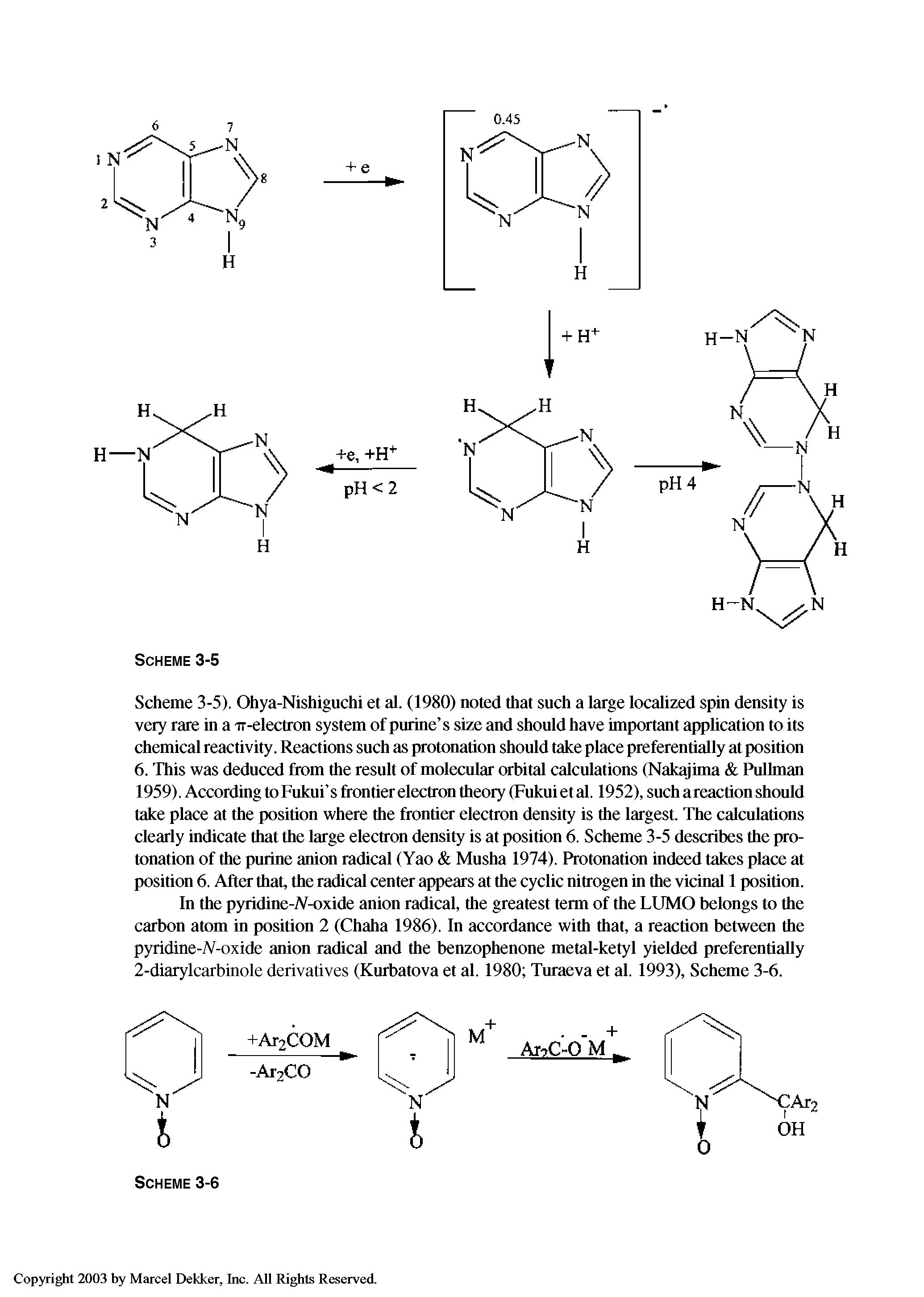 Scheme 3-5). Ohya-Nishiguchi et al. (1980) noted that such a large localized spin density is very rare in a ir-electron system of purine s size and should have important application to its chemical reactivity. Reactions such as protonation should take place preferentially at position 6. This was deduced from the result of molecular orbital calculations (Nakajima Pullman 1959). According to Fukui s frontier electron theory (Fukui et al. 1952), such areaction should take place at the position where the frontier electron density is the largest. The calculations clearly indicate that the large electron density is at position 6. Scheme 3-5 describes the protonation of the purine anion radical (Yao Musha 1974). Protonation indeed takes place at position 6. After that, the radical center appears at the cyclic nitrogen in the vicinal 1 position.