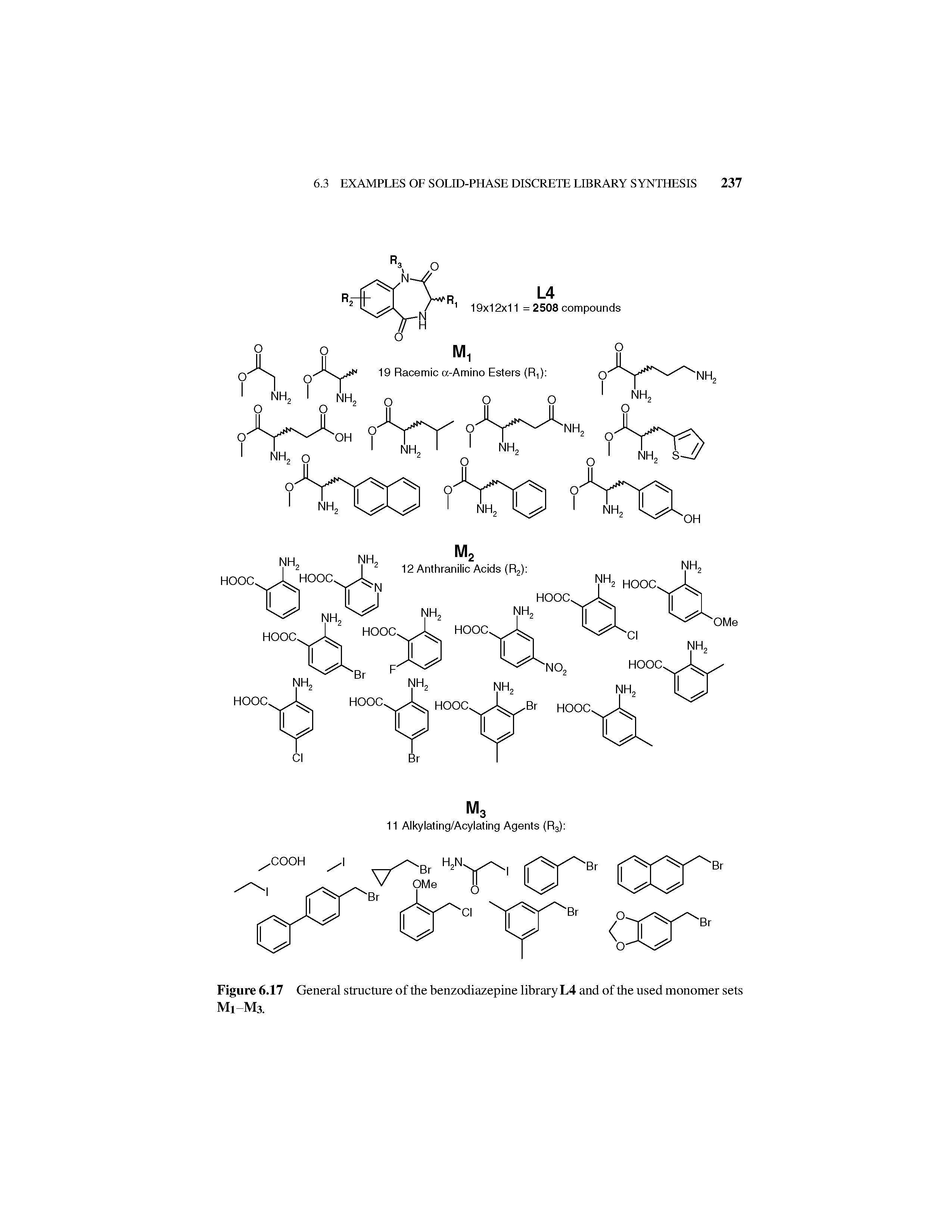 Figure 6.17 General structure of the benzodiazepine library L4 and of the used monomer sets Ml M3.