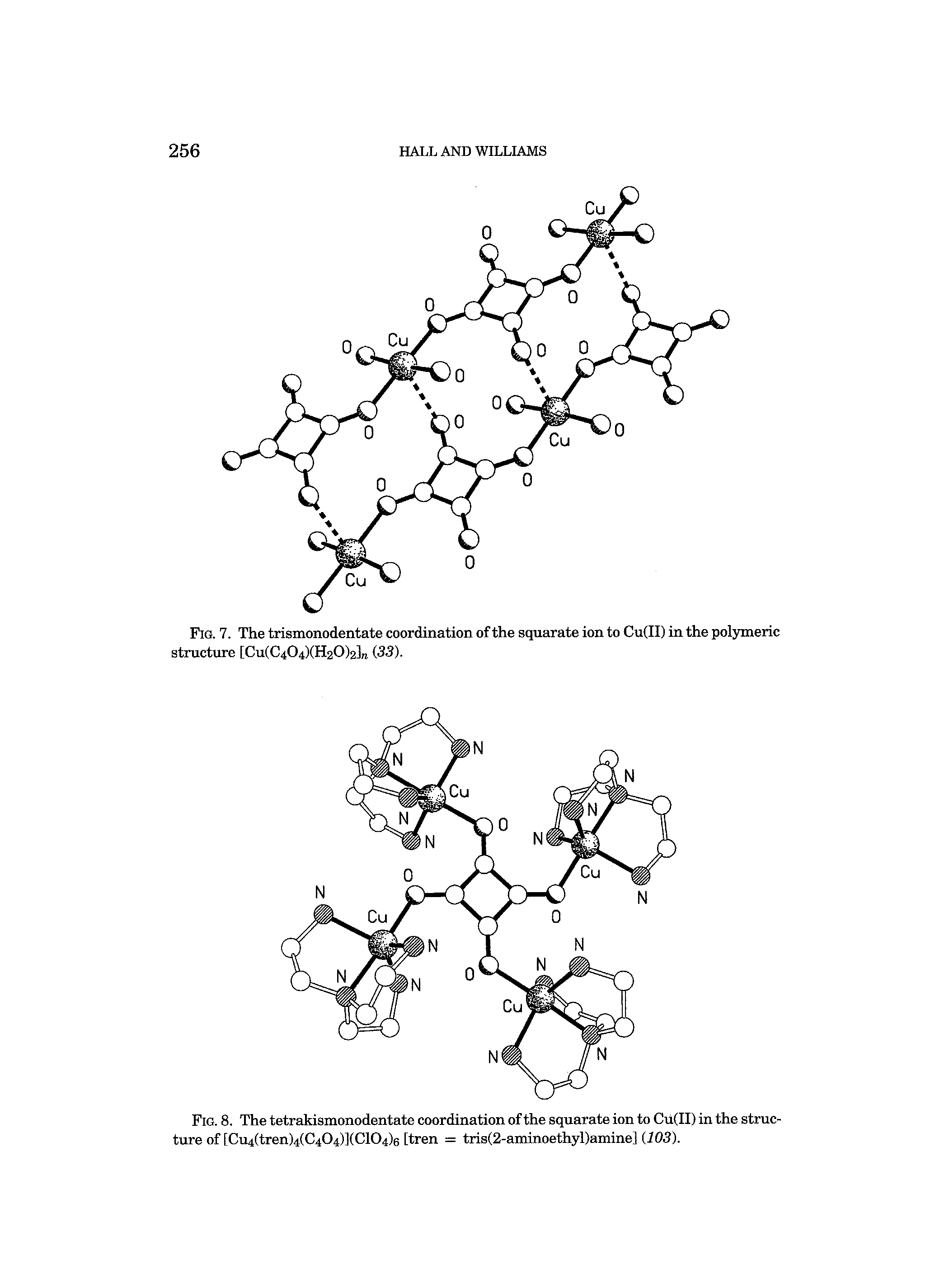 Fig. 8. The tetrakismonodentate coordination of the squarate ion to Cu(II) in the structure of [Cu4(tren)4(C404)](C104)6 [tren = tris(2-aminoethyl)amine] (103).