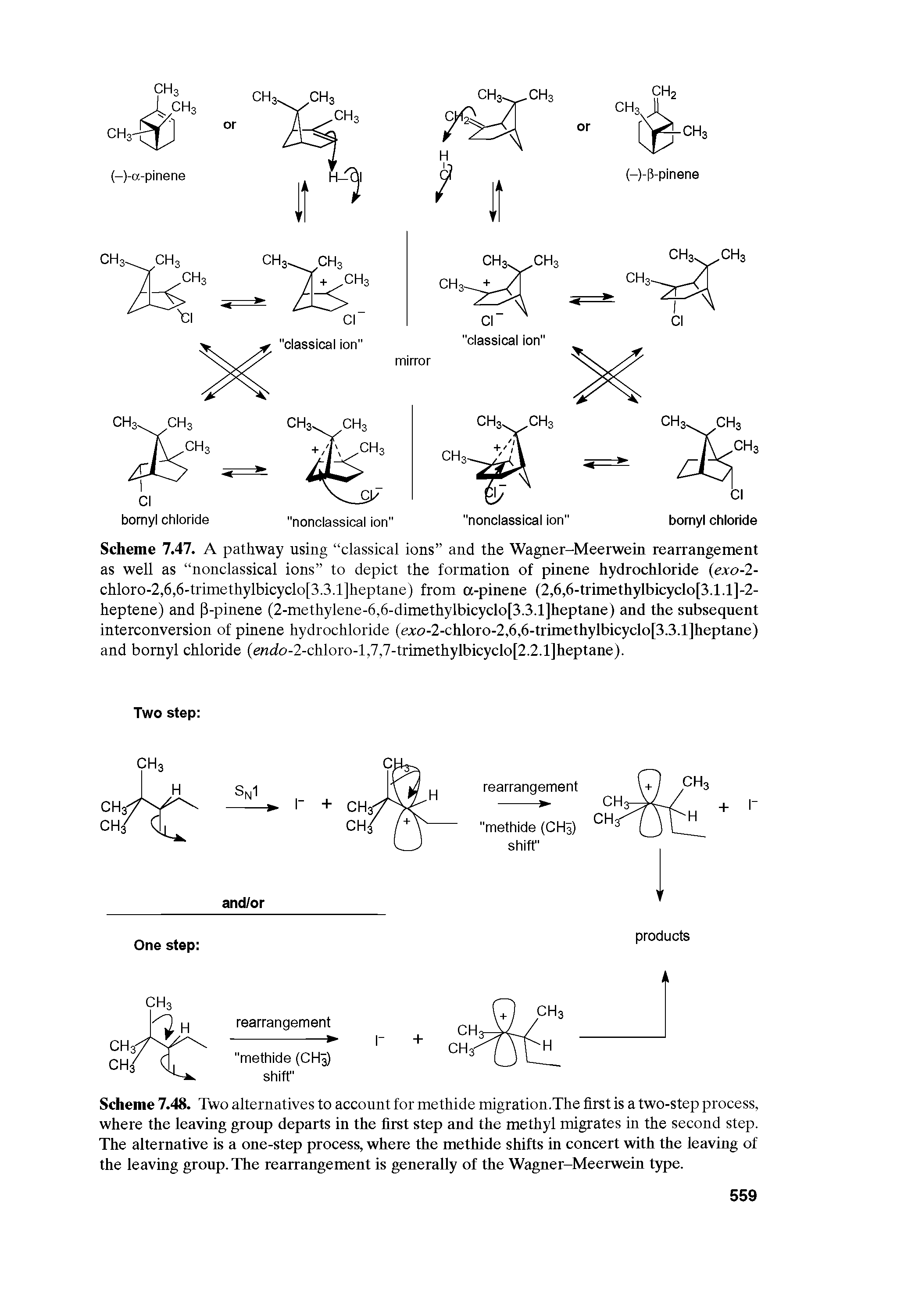 Scheme 7.47. A pathway using classical ions and the Wagner-Meerwein rearrangement as well as nonclassical ions to depict the formation of pinene hydrochloride (exo-2-chloro-2,6,6-trimethylbicyclo[3.3.1]heptane) from a-pinene (2,6,6-trimethylbicyclo[3.1.1]-2-heptene) and 3-pinene (2-methylene-6,6-dimethylbicyclo[3.3.1]heptane) and the subsequent interconversion of pinene hydrochloride (eA o-2-chloro-2,6,6-trimethylbicyclo[3.3.1]heptane) and bornyl chloride (enrio-2-chloro-l,7,7-trimethylbicyclo[2.2.1]heptane).