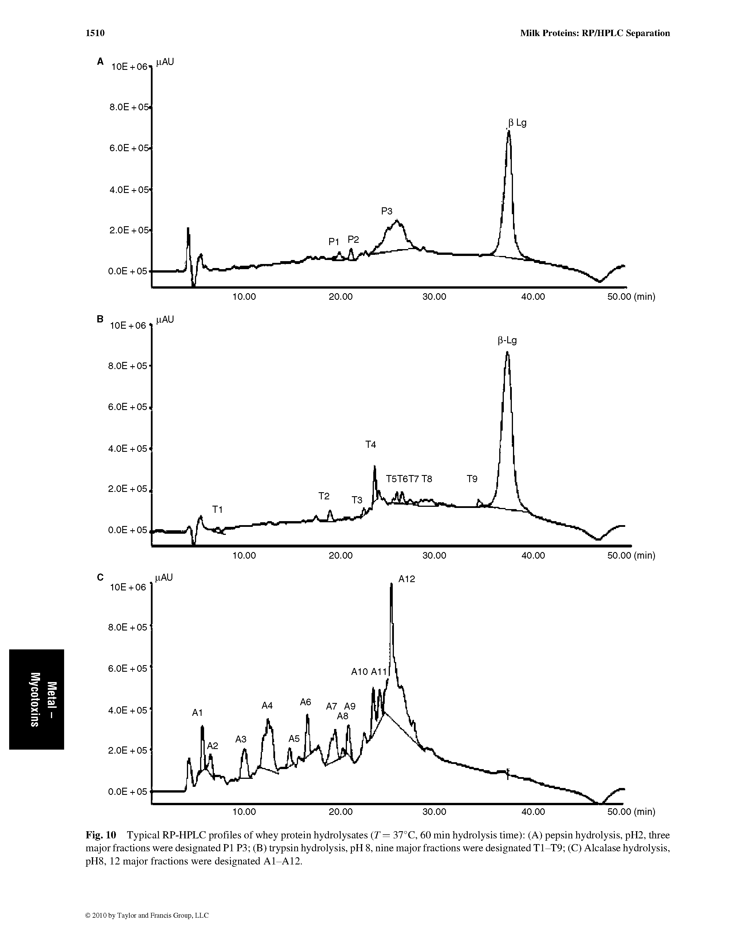 Fig. 10 Typical RP-HPLC profiles of whey protein hydrolysates T = 37°C, 60 min hydrolysis time) (A) pepsin hydrolysis, pH2, three major fractions were designated PI P3 (B) trypsin hydrolysis, pH 8, nine major fractions were designated T1-T9 (C) Alcalase hydrolysis, pH8, 12 major fractions were designated A1-A12.