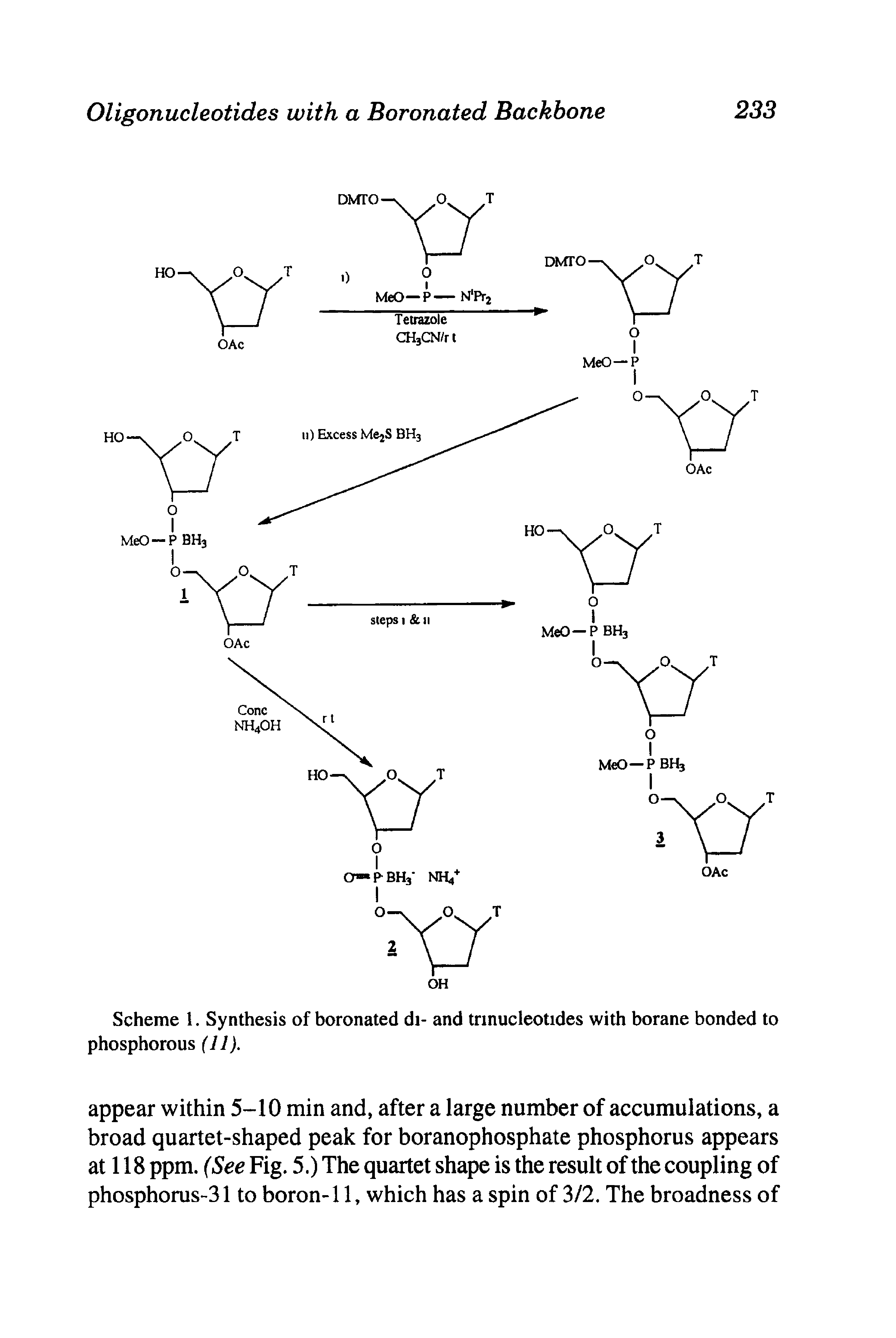 Scheme 1. Synthesis of boronated di- and trinucleotides with borane bonded to phosphorous (11).