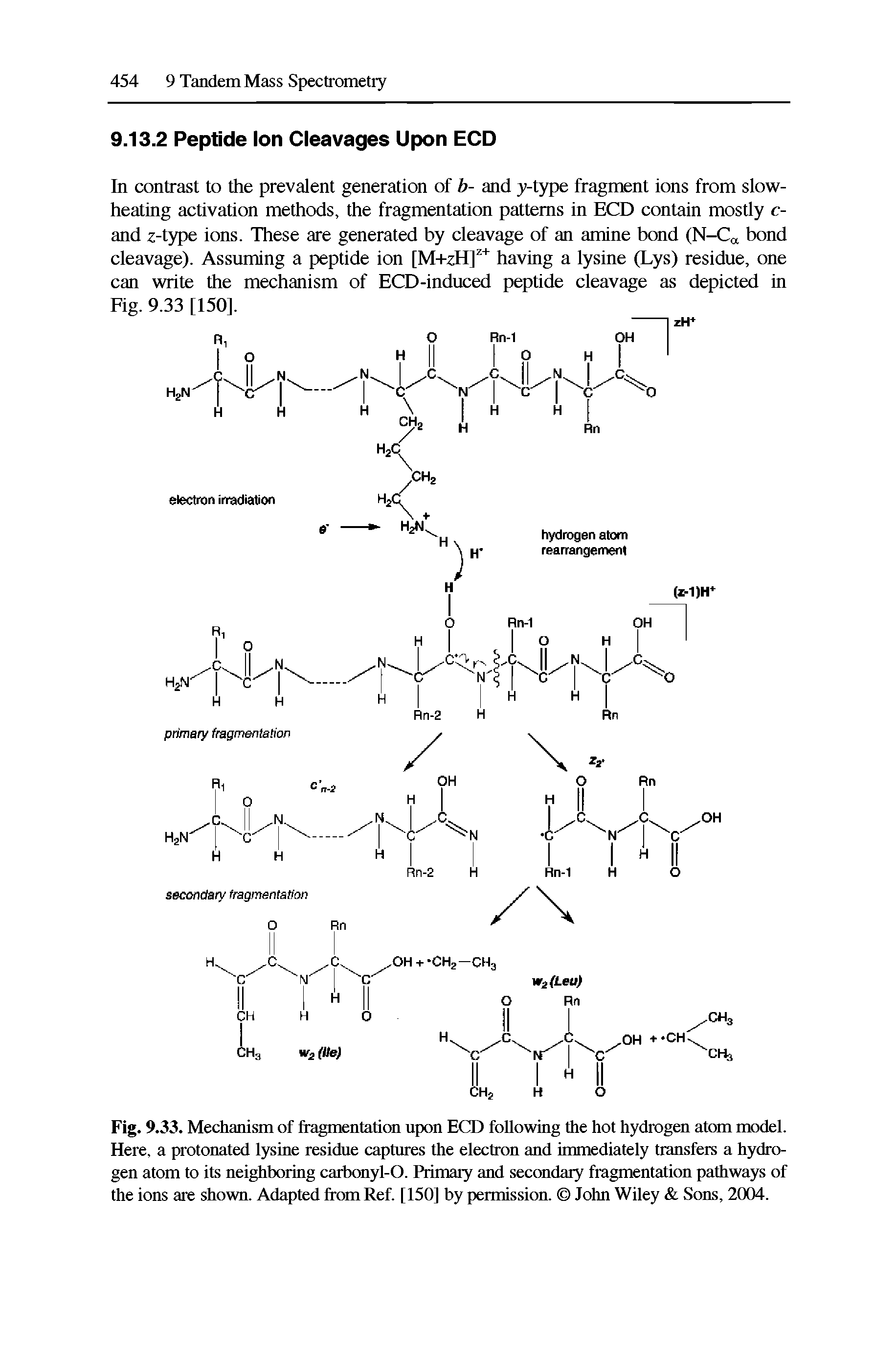 Fig. 9.33. Mechanism of fragmentation upon ECD following the hot hydrogen atom model. Here, a protonated lysine residue captures the electron and immediately transfers a hydrogen atom to its neighboring carbonyl-O. Primary and secondary fragmentation pathways of the ions are shown. Adapted from Ref. [150] by permissioiL John Wiley Sons, 2004.