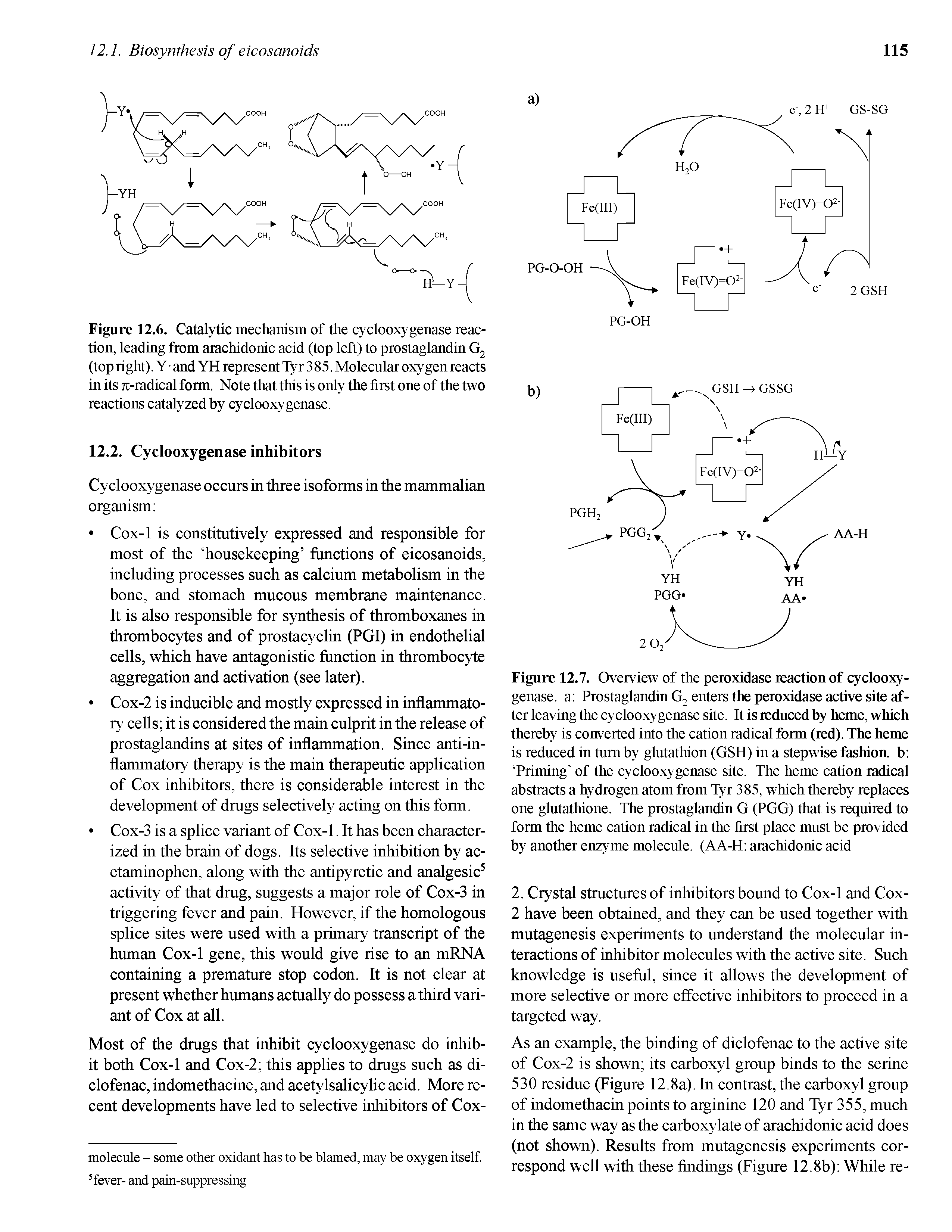 Figure 12.6. Catalytic mechanism of the cyclooxygenase reaction, leading from arachidonic acid (top left) to prostaglandin G2 (top right). Y and YH represent Tyr 3 85. Molecular oxygen reacts in its jT-radical form. Note that this is only the first one of the two reactions catalyzed by cyclooxygenase.