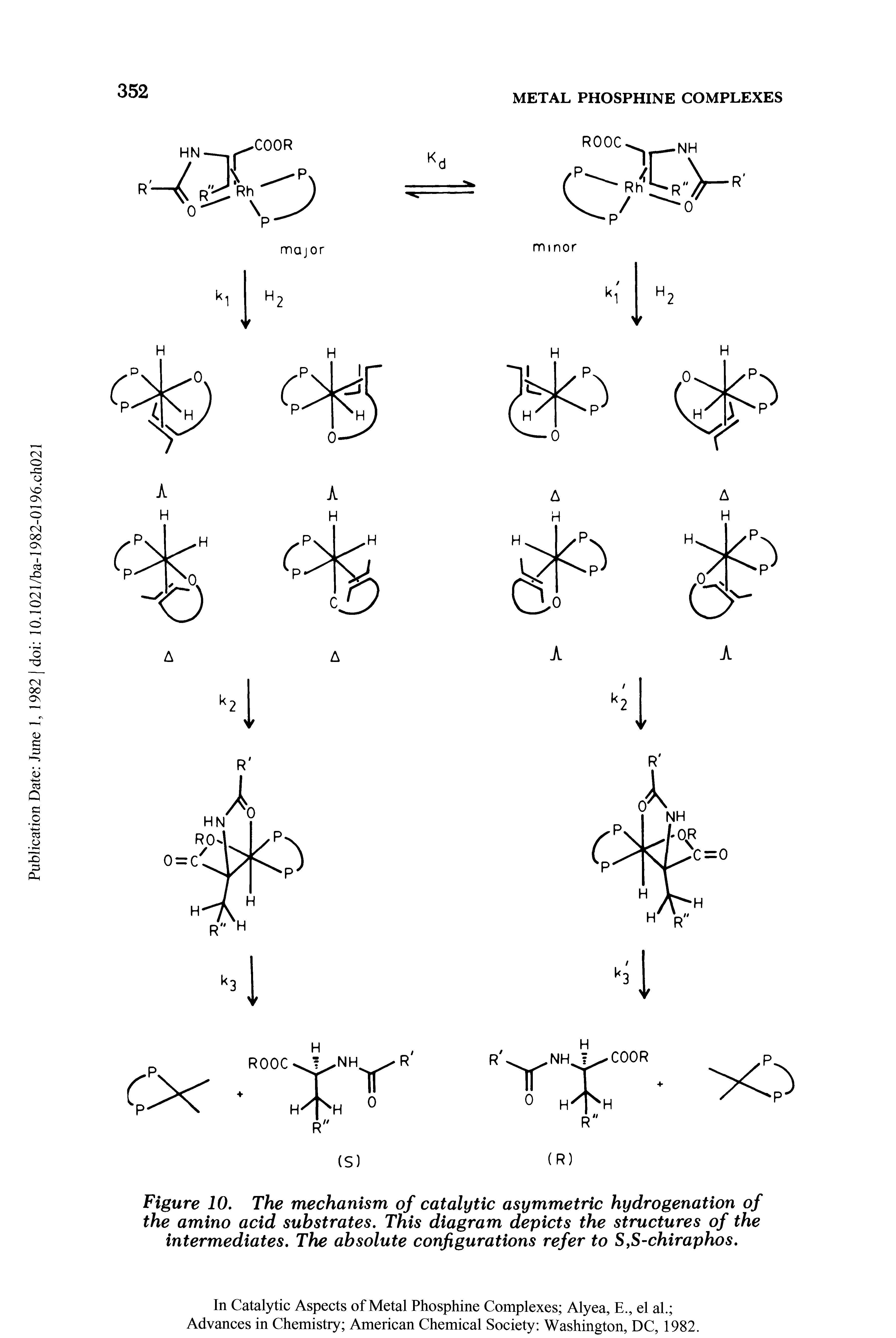Figure 10. The mechanism of catalytic asymmetric hydrogenation of the amino acid substrates. This diagram depicts the structures of the intermediates. The absolute configurations refer to S,S-chiraphos.