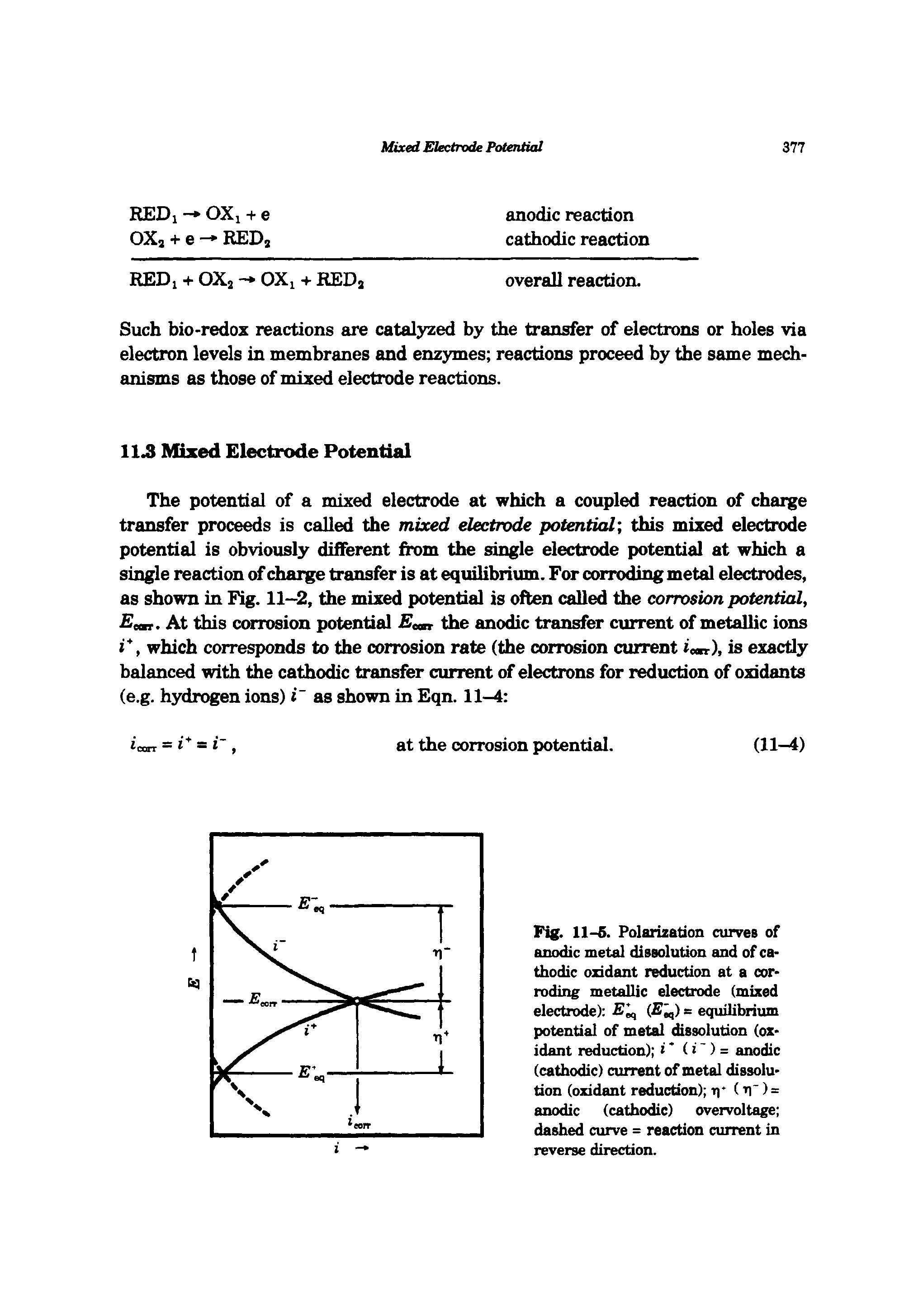 Fig. 11-6. Polarization curves of anodic metal dissolution and of cathodic oxidant reduction at a corroding metallic electrode (mixed electrode) s equilibrium...