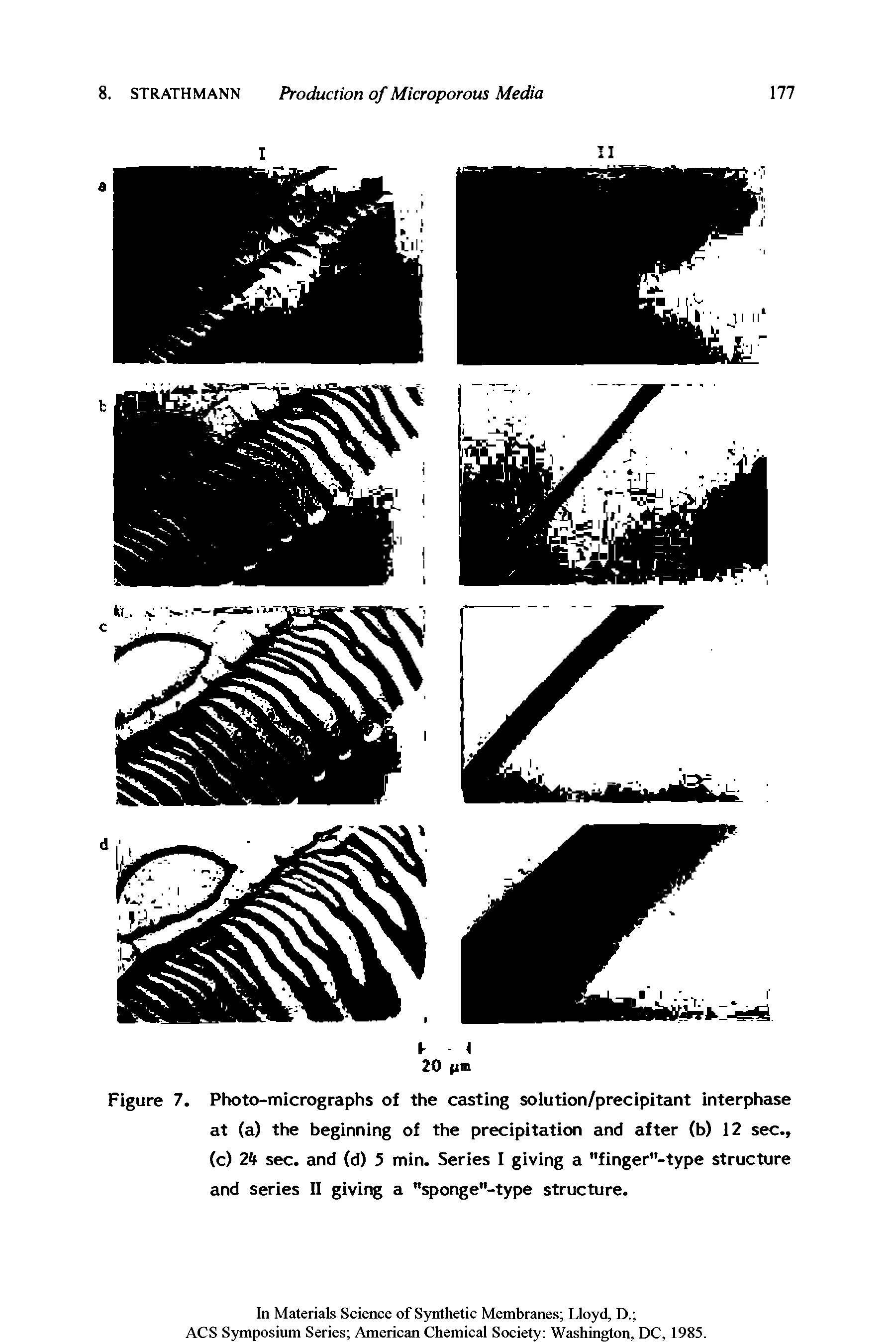 Figure 7. Photo-micrographs of the casting solution/precipitant interphase at (a) the beginning of the precipitation and after (b) 12 sec., (c) 2 f sec. and (d) 5 min. Series I giving a "finger"-type structure and series II giving a "sponge"-type structure.