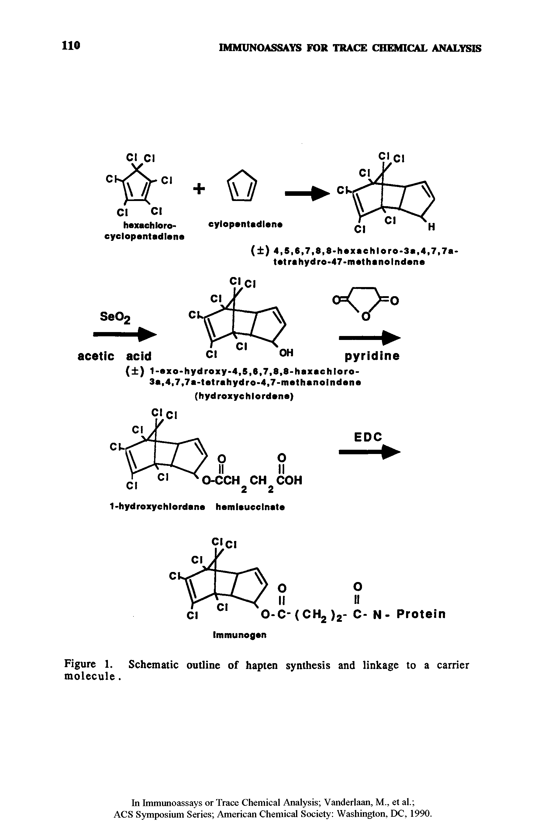 Figure 1. Schematic outline of hapten synthesis and linkage to a carrier molecule.