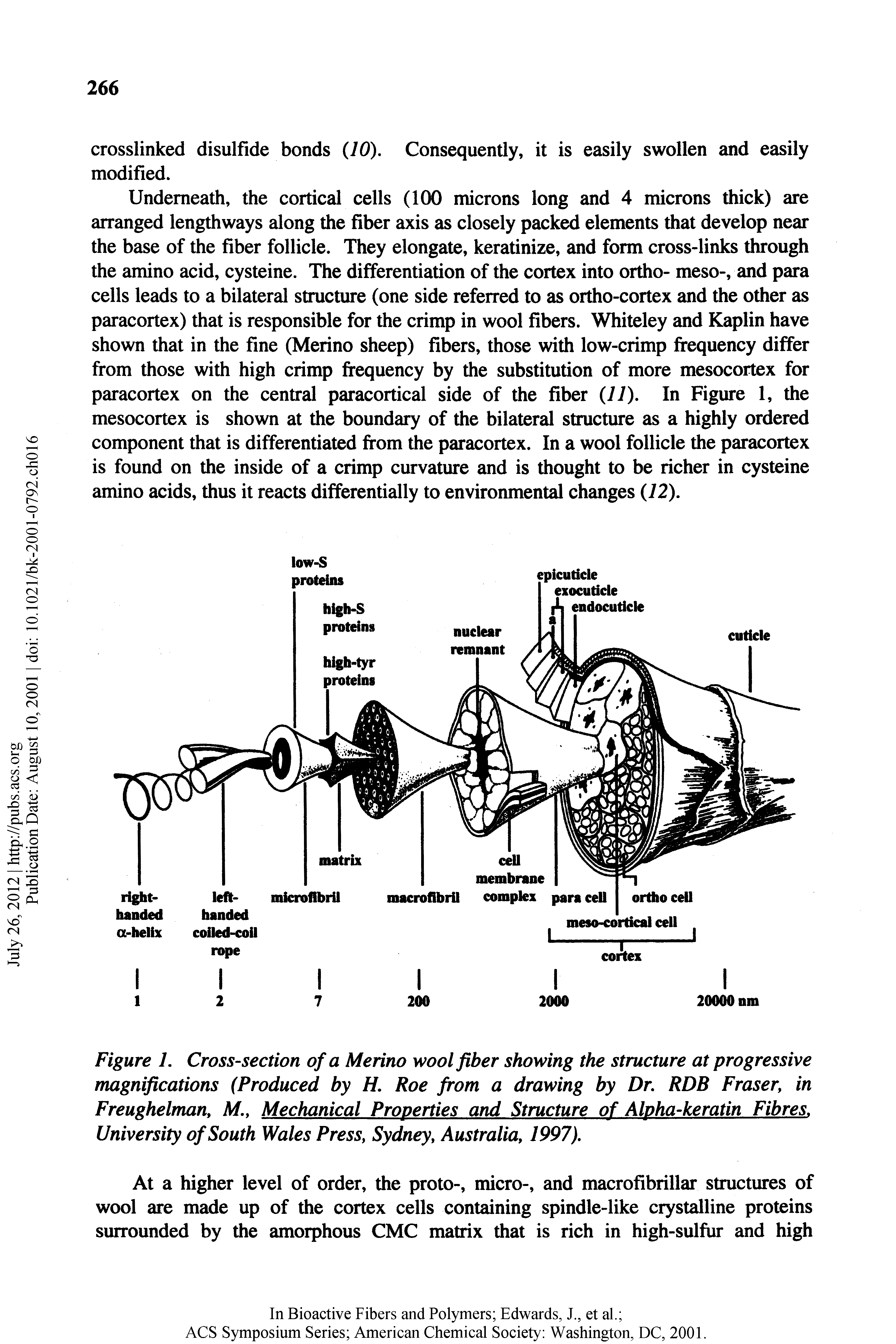 Figure 7. Cross-section of a Merino wool fiber showing the structure at progressive magnifications (Produced by 77. Roe from a drawing by Dr. RDB Fraser, in Freughelman, M, Mechanical Properties and Structure of Alpha-keratin Fibres. University of South Wales Press, Sydney, Australia, 1997).