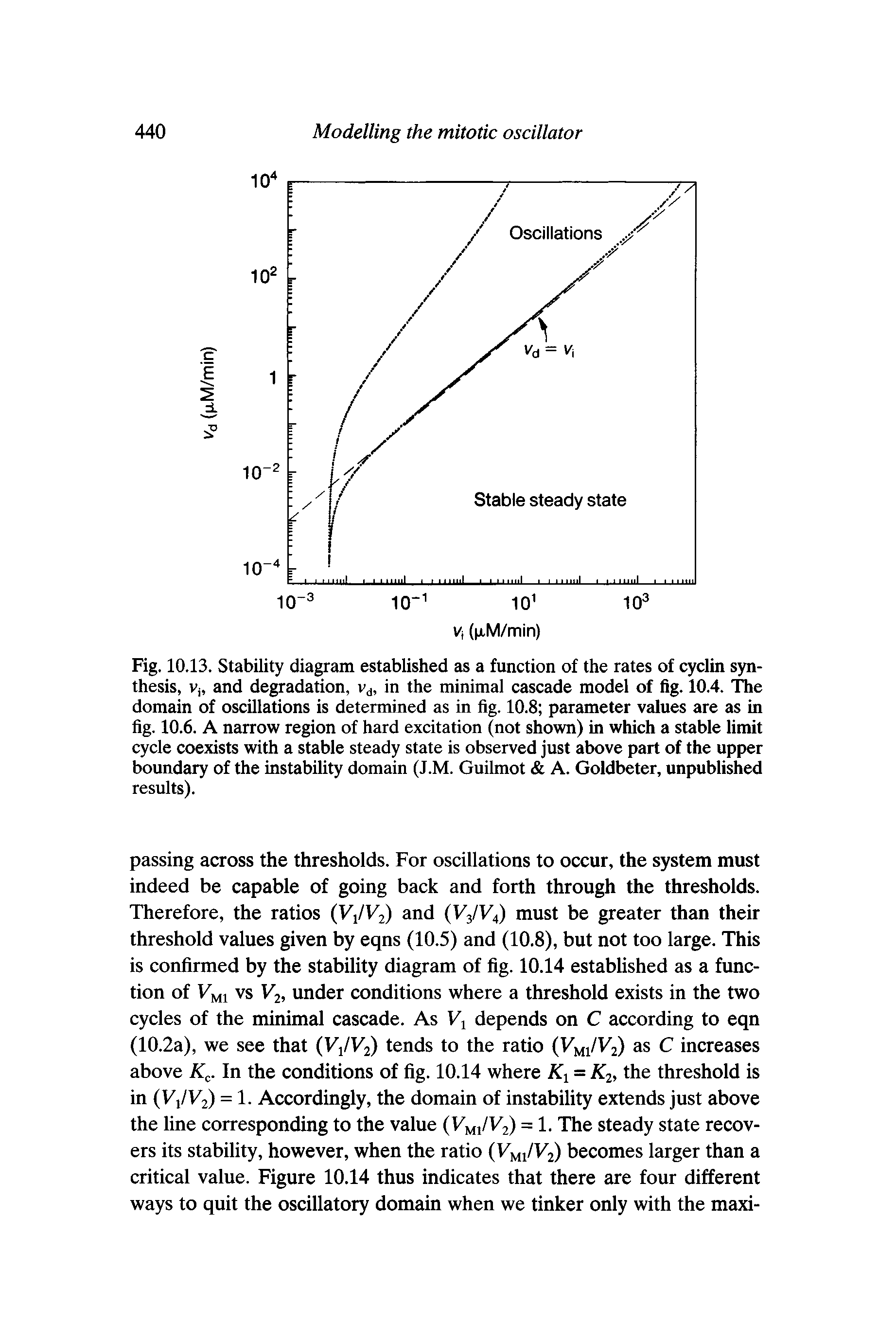Fig. 10.13. Stability diagram established as a function of the rates of cyclin synthesis, Vj, and degradation, v, in the minimal cascade model of fig. 10.4. The domain of oscillations is determined as in fig. 10.8 parameter values are as in fig. 10.6. A narrow region of hard excitation (not shown) in which a stable limit cycle coexists with a stable steady state is observed just above part of the upper boundary of the instability domain (J.M. Guilmot A. Goldbeter, unpublished results).