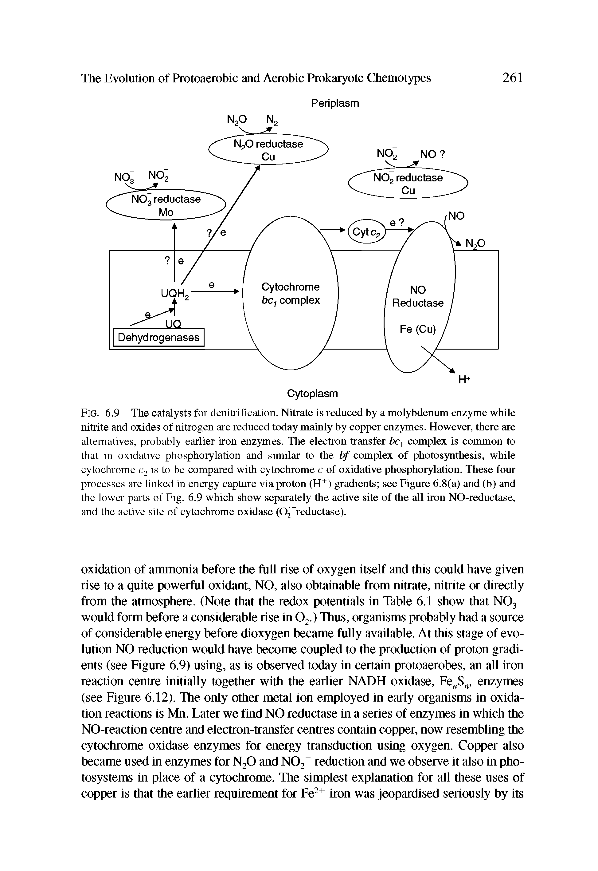 Fig. 6.9 The catalysts for denitrification. Nitrate is reduced by a molybdenum enzyme while nitrite and oxides of nitrogen are reduced today mainly by copper enzymes. However, there are alternatives, probably earlier iron enzymes. The electron transfer bct complex is common to that in oxidative phosphorylation and similar to the bf complex of photosynthesis, while cytochrome c2 is to be compared with cytochrome c of oxidative phosphorylation. These four processes are linked in energy capture via proton (H+) gradients see Figure 6.8(a) and (b) and the lower parts of Fig. 6.9 which show separately the active site of the all iron NO-reductase, and the active site of cytochrome oxidase (02 reductase).