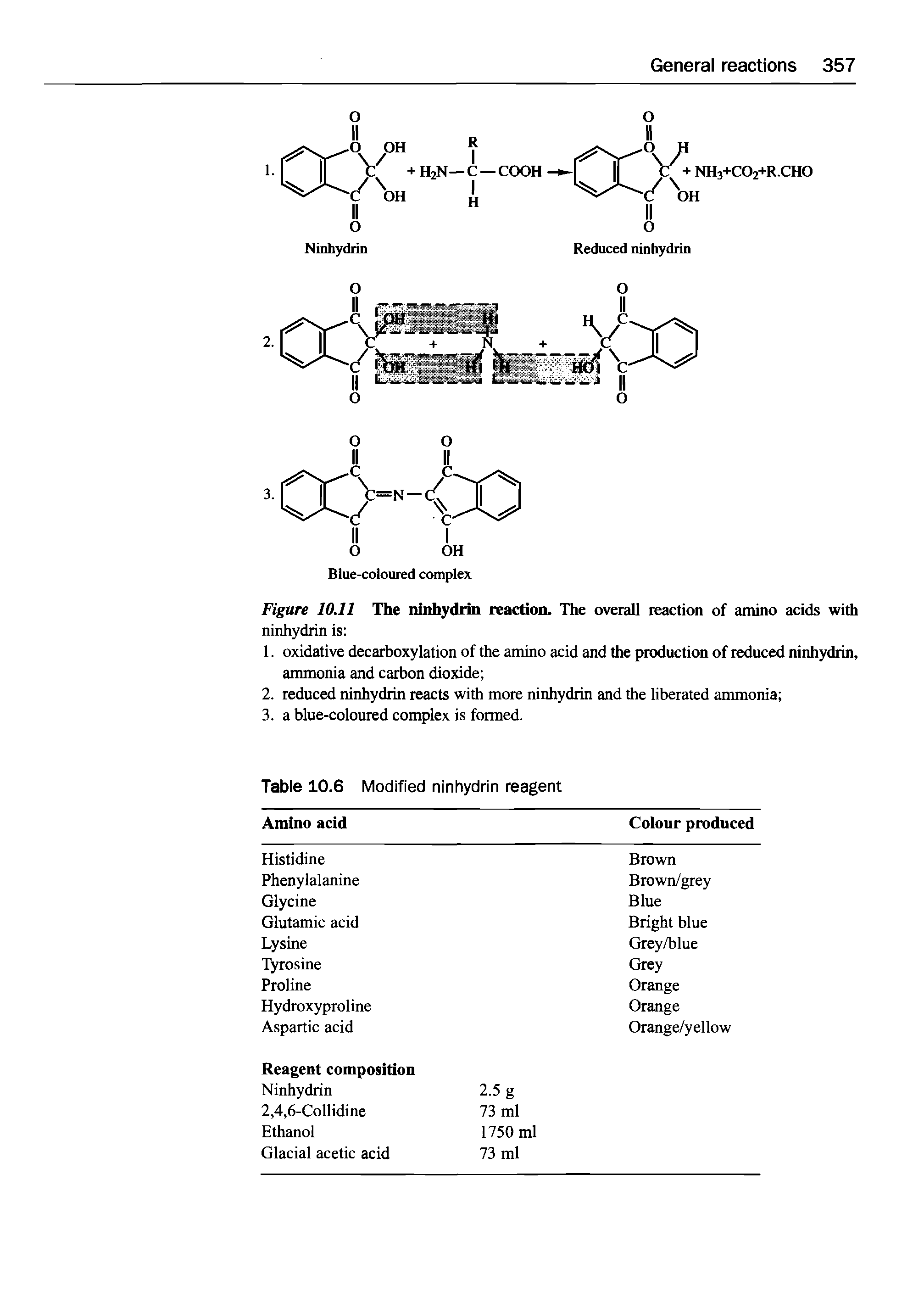 Figure 10.11 The ninhydrin reaction. The overall reaction of amino acids with ninhydrin is ...