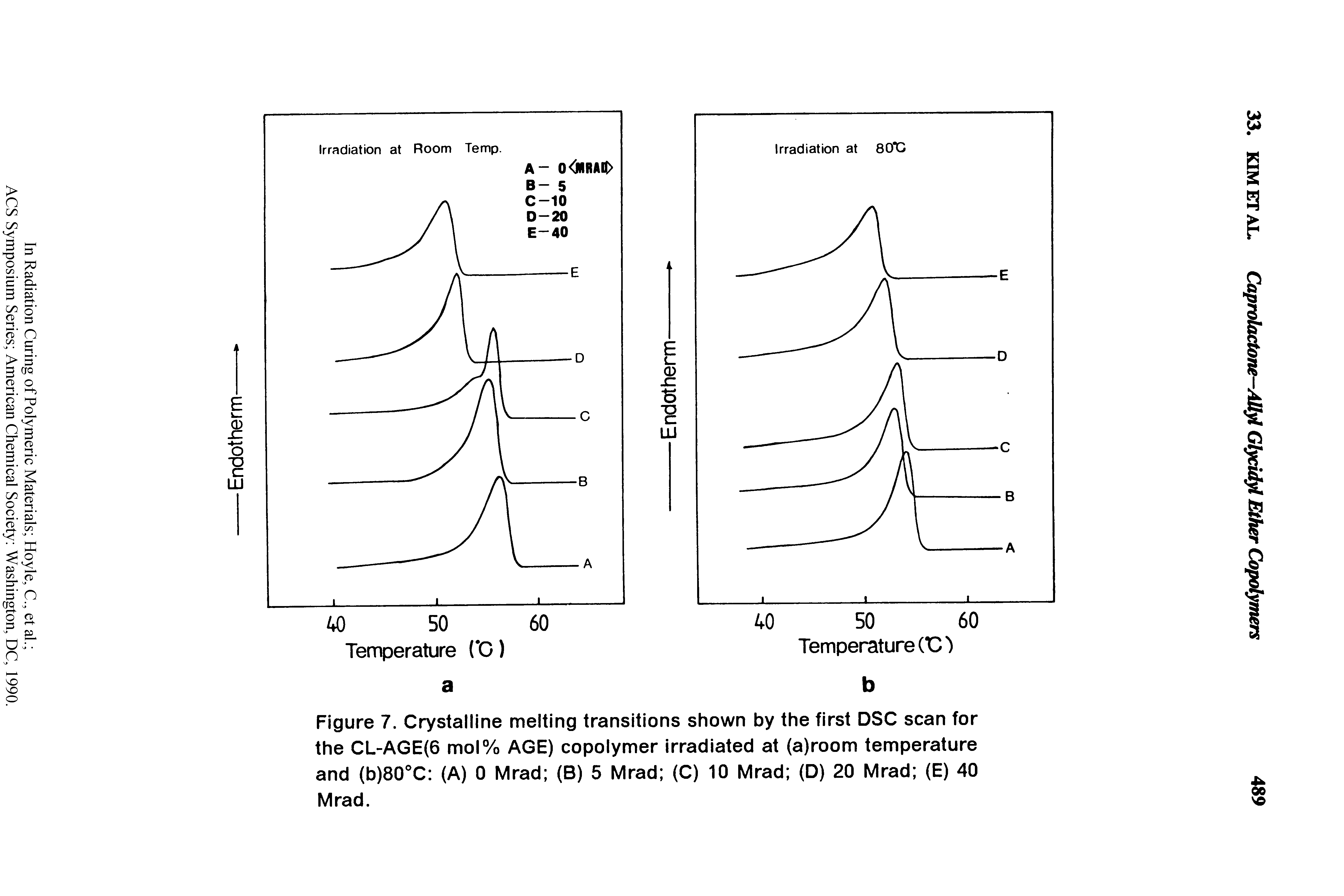 Figure 7. Crystalline melting transitions shown by the first DSC scan for the CL-AGE(6 mol% AGE) copolymer irradiated at (a)room temperature and (b)80 C (A) 0 Mrad (B) 5 Mrad (C) 10 Mrad (D) 20 Mrad (E) 40 Mrad.