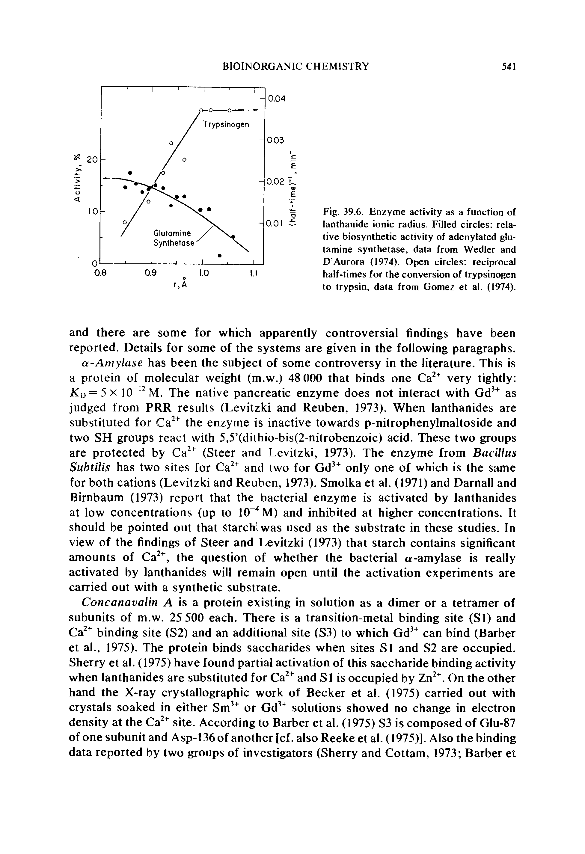 Fig. 39.6. Enzyme activity as a function of lanthanide ionic radius. Filled circles relative biosynthetic activity of adenylated glutamine synthetase, data from Wedler and D Aurora (1974). Open circles reciprocal half-times for the conversion of trypsinogen to trypsin, data from Gomez et al. (1974).