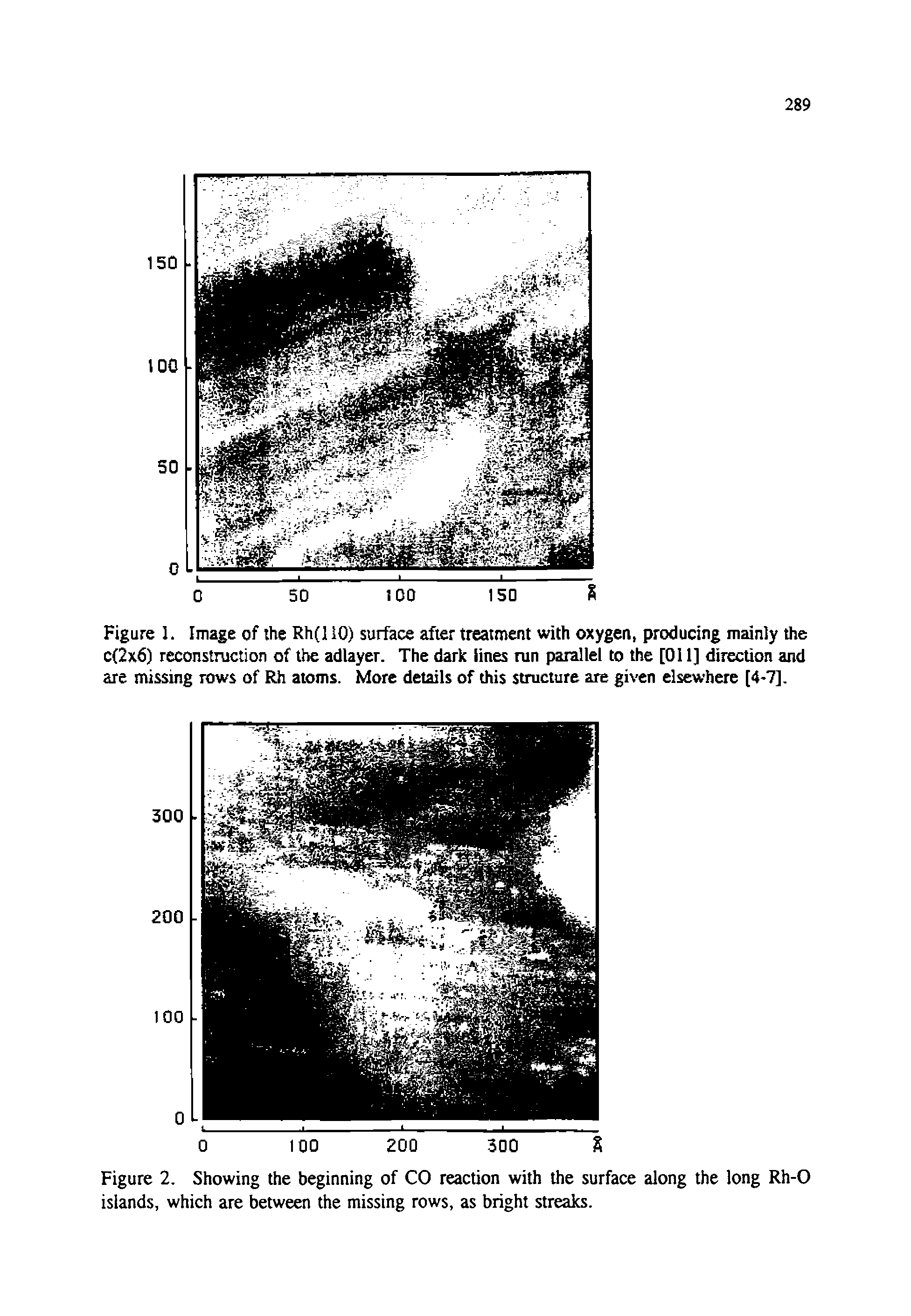 Figure 2. Showing the beginning of CO reaction with the surface along the long Rh-0 islands, which are between the missing rows, as bright streaks.