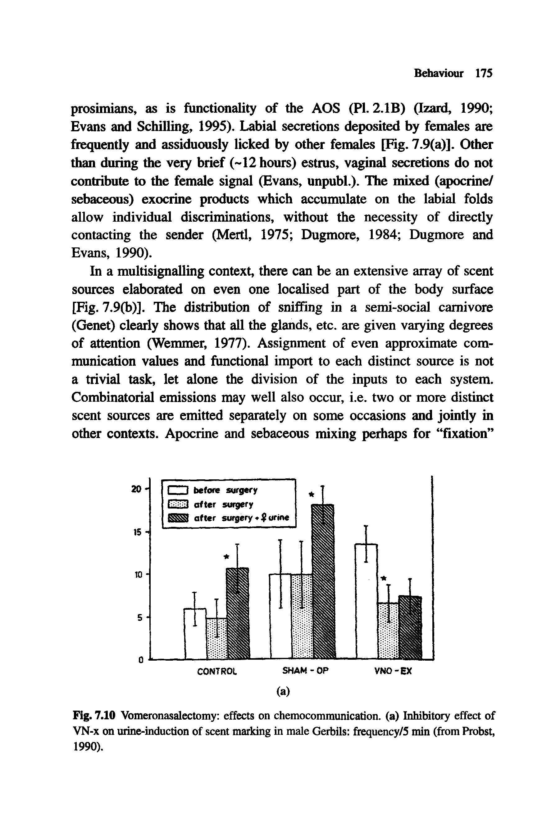 Fig. 7.10 Vomeronasalectomy effects on chemocommunication. (a) Inhibitory effect of VN-x on urine-induction of scent marking in male Gerbils frequency/5 min (from Probst, 1990).
