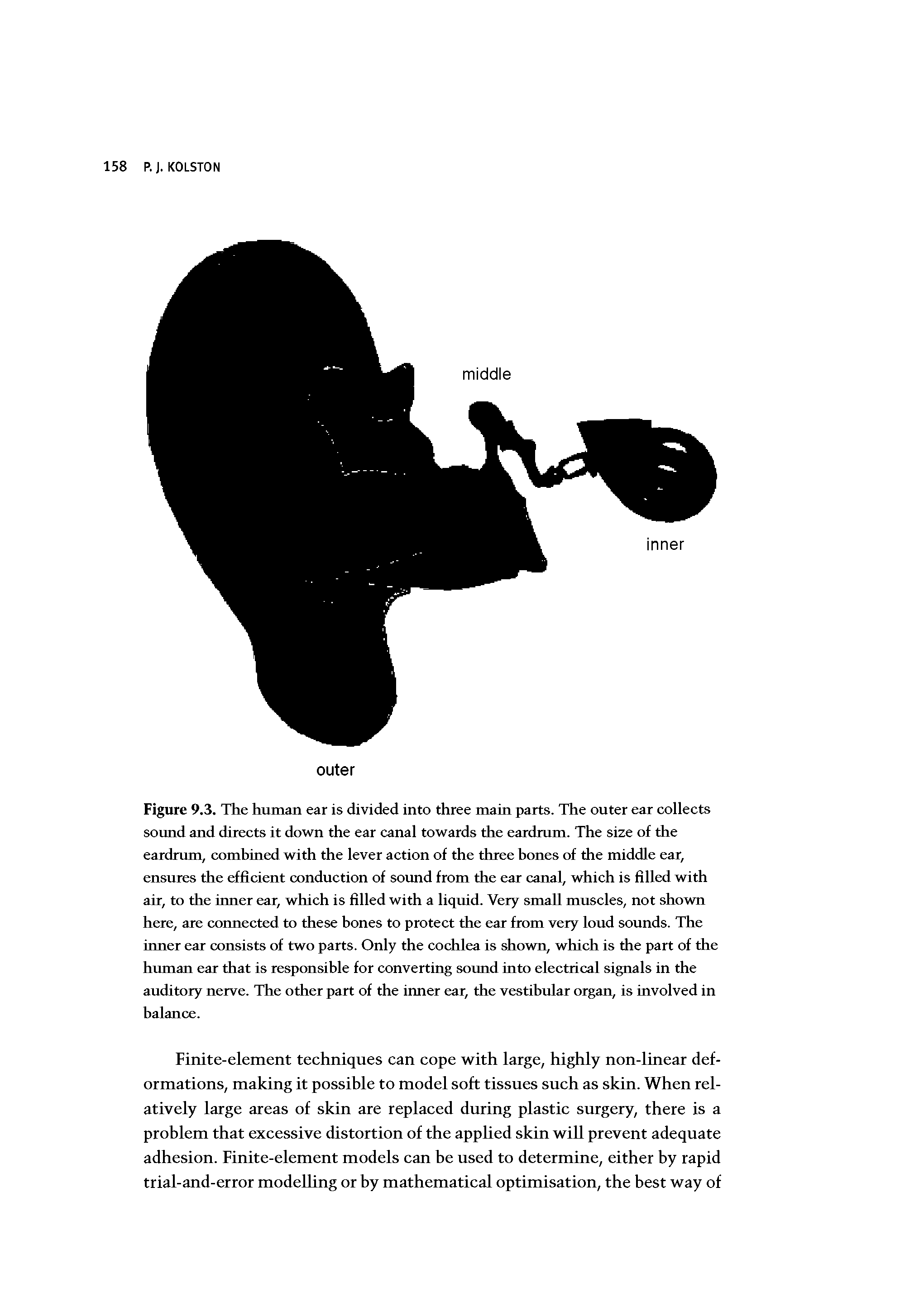 Figure 9.3. The human ear is divided into three main parts. The outer ear collects sound and directs it down the ear canal towards the eardrum. The size of the eardrum, comhined with the lever action of the three hones of the middle ear, ensures the efficient conduction of sound from the ear canal, which is filled with air, to the inner ear, which is filled with a liquid. Very small muscles, not shown here, are cormected to these bones to protect the ear from very lond sounds. The inner ear consists of two parts. Only the cochlea is shown, which is the part of the human ear that is responsible for converting sound into electrical signals in the auditory nerve. The other part of the inner ear, the vestibular organ, is involved in balance.