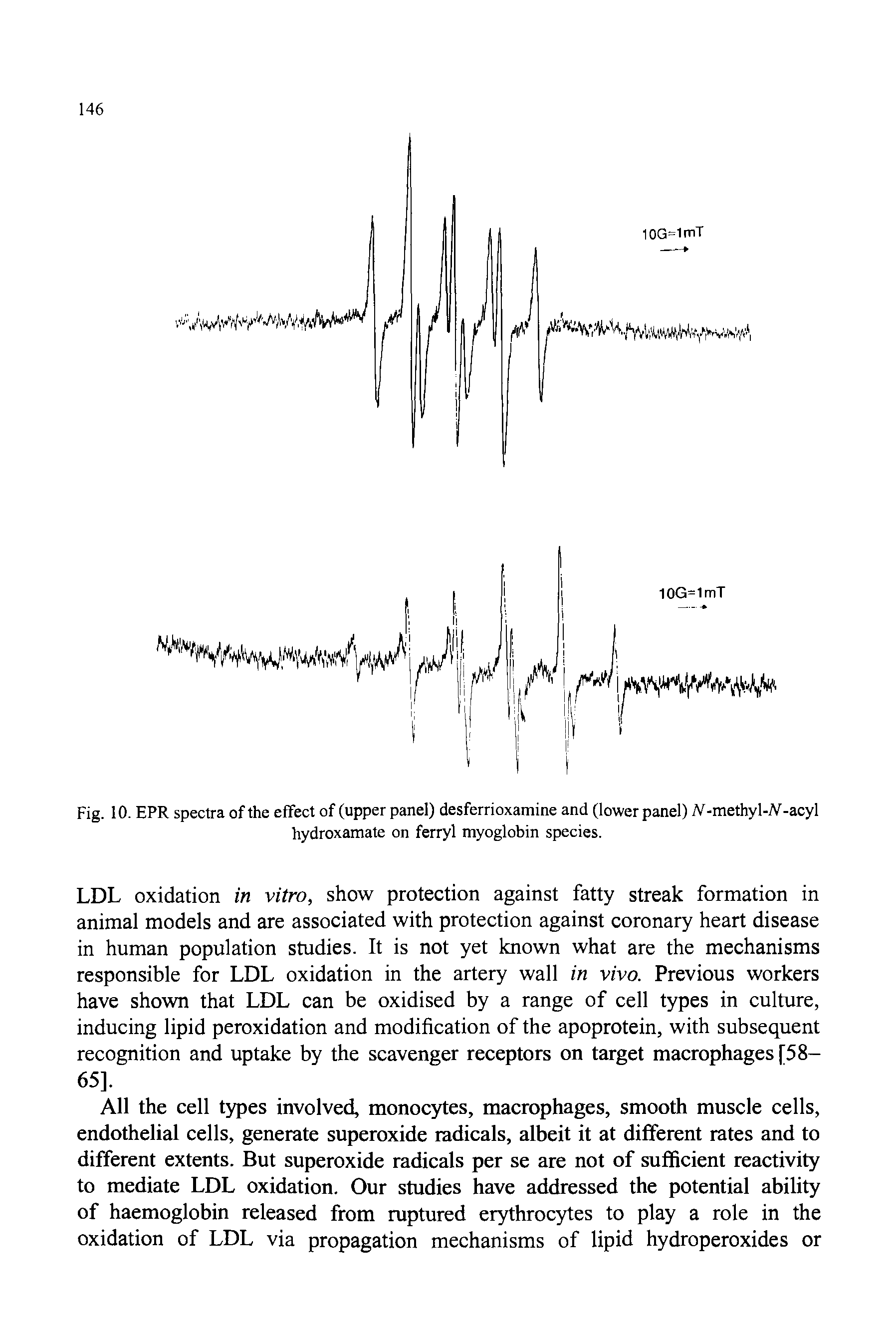 Fig. 10. EPR spectra of the effect of (upper panel) desferrioxamine and (lower panel) A -methyl-V-acyl hydroxamate on ferryl myoglobin species.