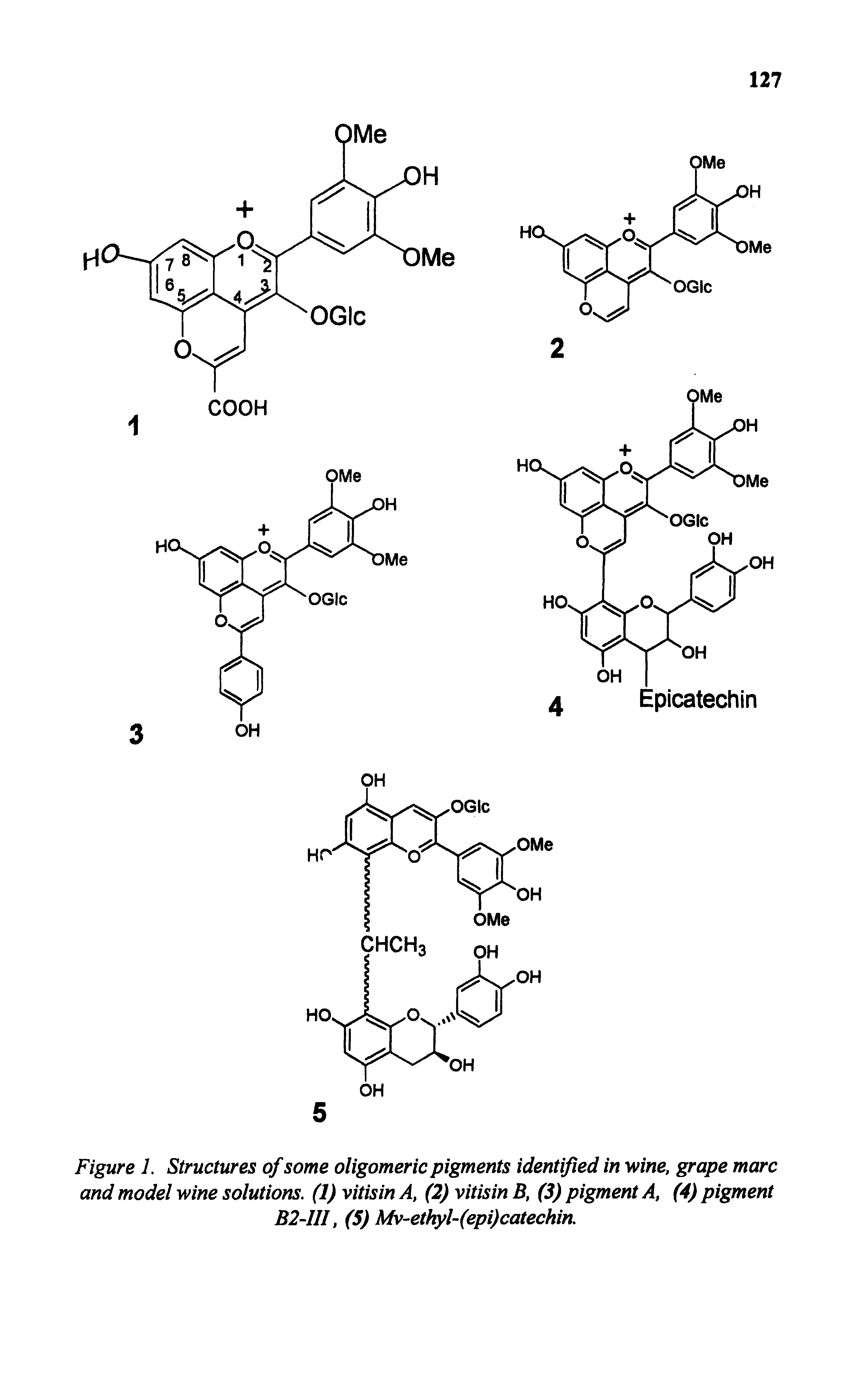 Figure 1. Structures of some oligomeric pigments identified in wine, grape marc and model wine solutions. (1) vitisin A, (2) vitisin B, (3) pigment A, (4) pigment B2-1H, (5) Mv-ethyl-(epi)catechin.