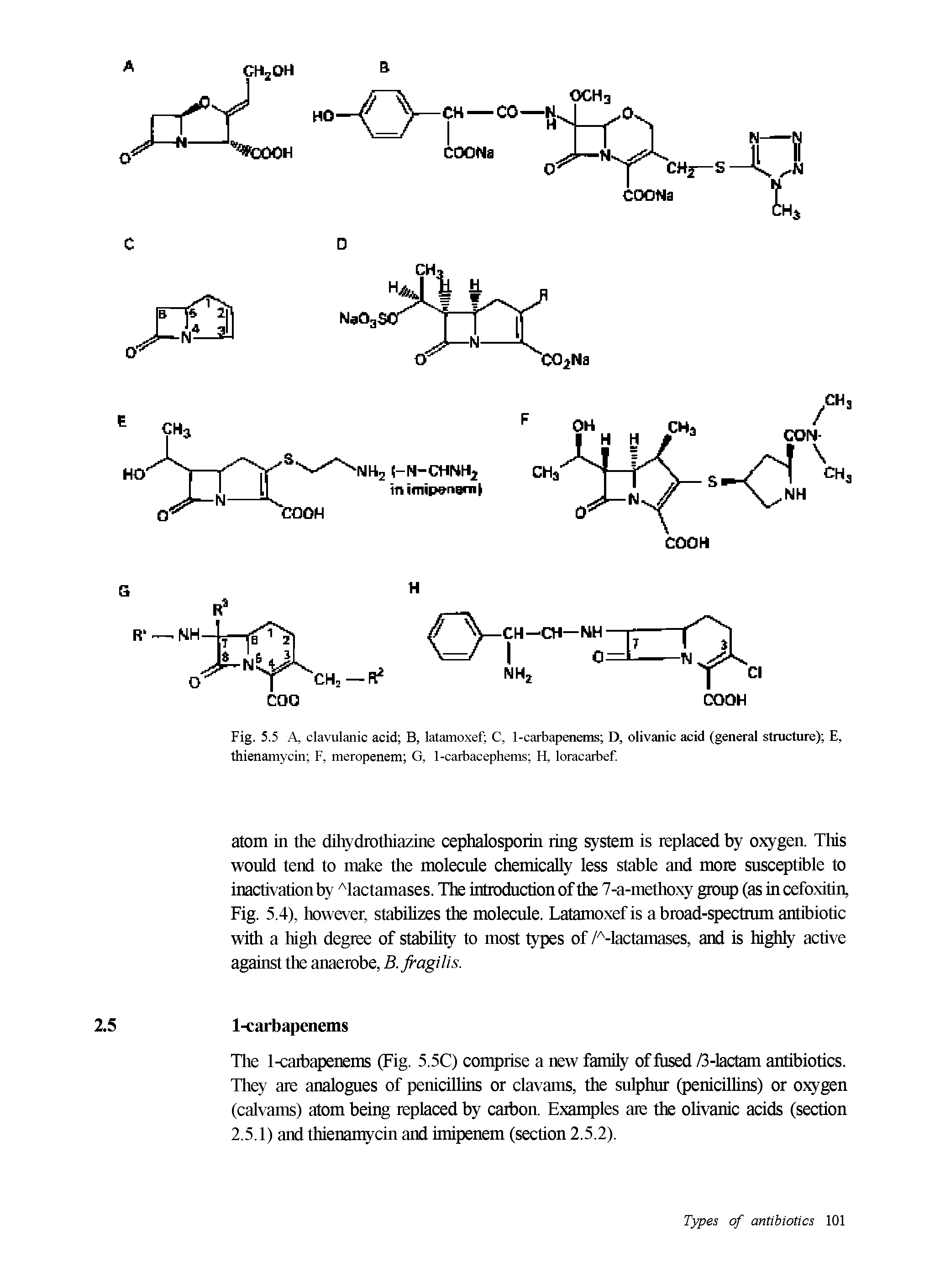 Fig. 5.5 A, clavulanic acid B, latamoxef C, 1-carbapenems D, olivanic acid (general structure) E, thienamycin F, meropenem G, 1-carbacephems H, loracarbef.