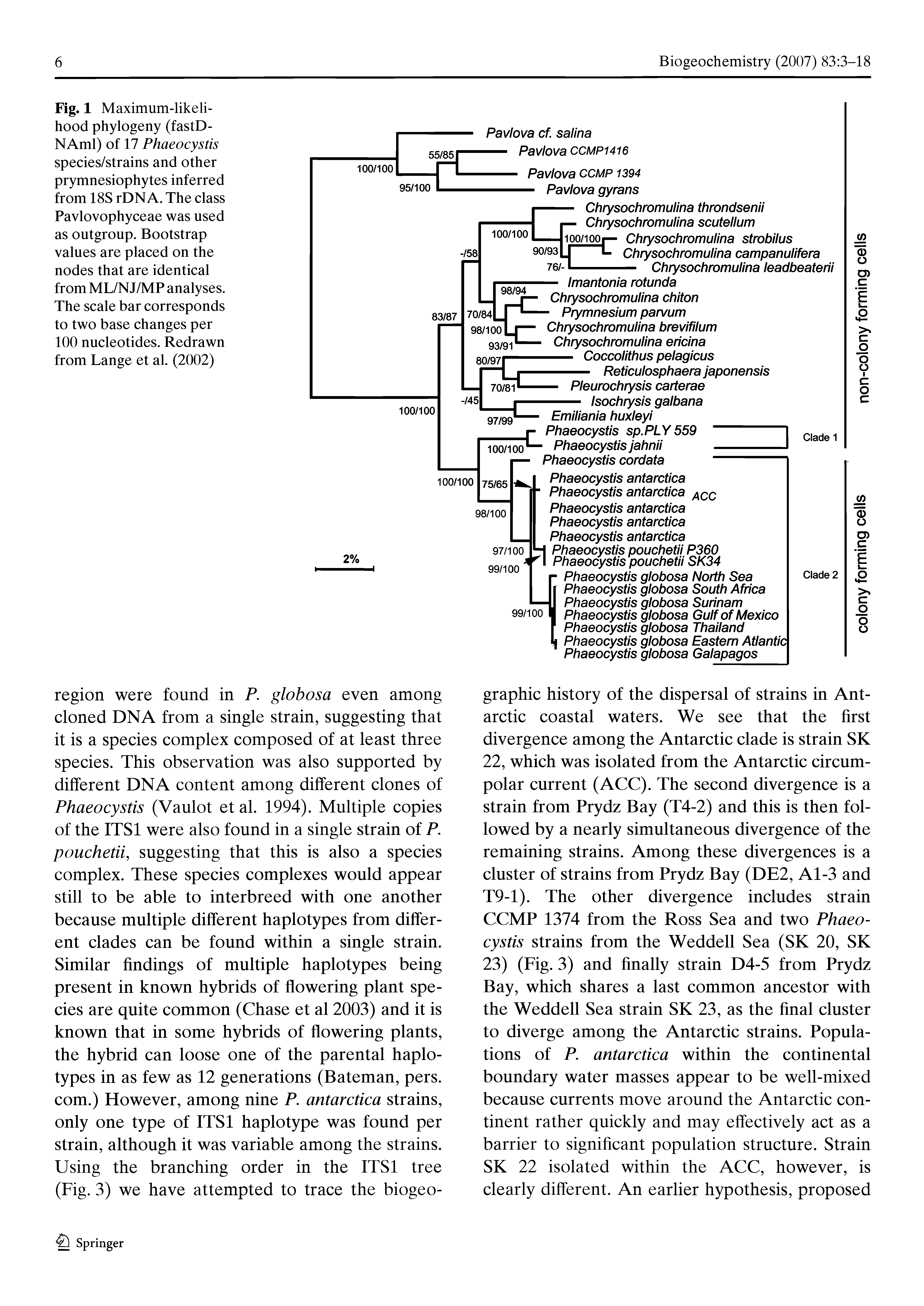 Fig. 1 Maximum-likelihood phytogeny (fastD-NAml) of 17 Phaeocystis species/strains and other prymnesiophytes inferred from 18S rDNA. The class Pavlovophyceae was used as outgroup. Bootstrap values are placed on the nodes that are identical from ML/NJ/MP analyses. The scale bar corresponds to two base changes per 100 nucleotides. Redrawn from Lange et al. (2002)...
