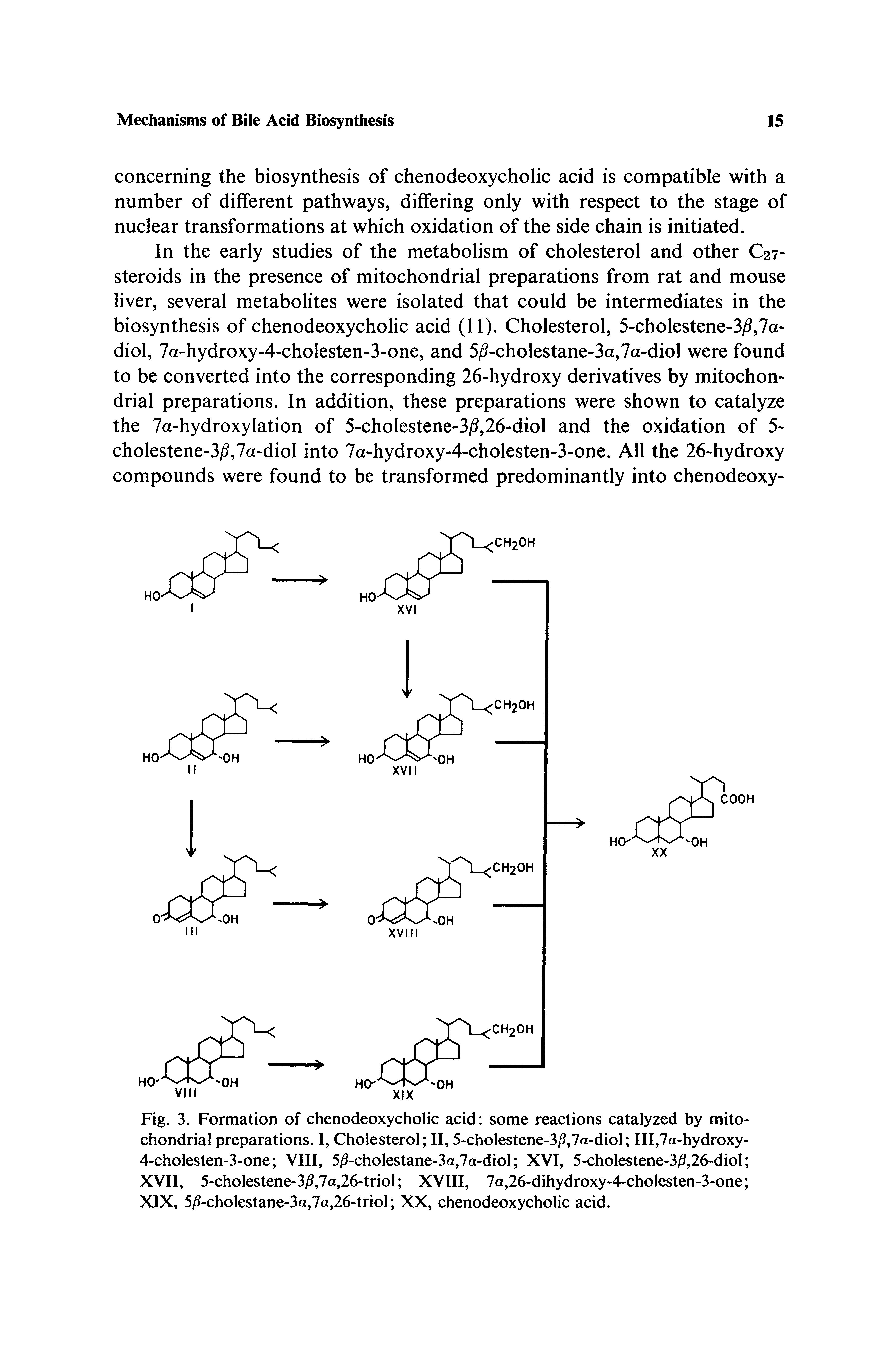 Fig. 3. Formation of chenodeoxycholic acid some reactions catalyzed by mitochondrial preparations. I, Cholesterol II, 5-cholestene-3/9,7a-diol III,7a-hydroxy-4-cholesten-3-one VIII, 5i -cholestane-3a,7a-diol XVI, 5-cholestene-3i3,26-dioI XVII, 5-cholestene-3)3,7a,26-trioI XVIII, 7a,26-dihydroxy-4-choIesten-3-one XIX, 5 -cholestane-3a,7a,26-triol XX, chenodeoxycholic acid.