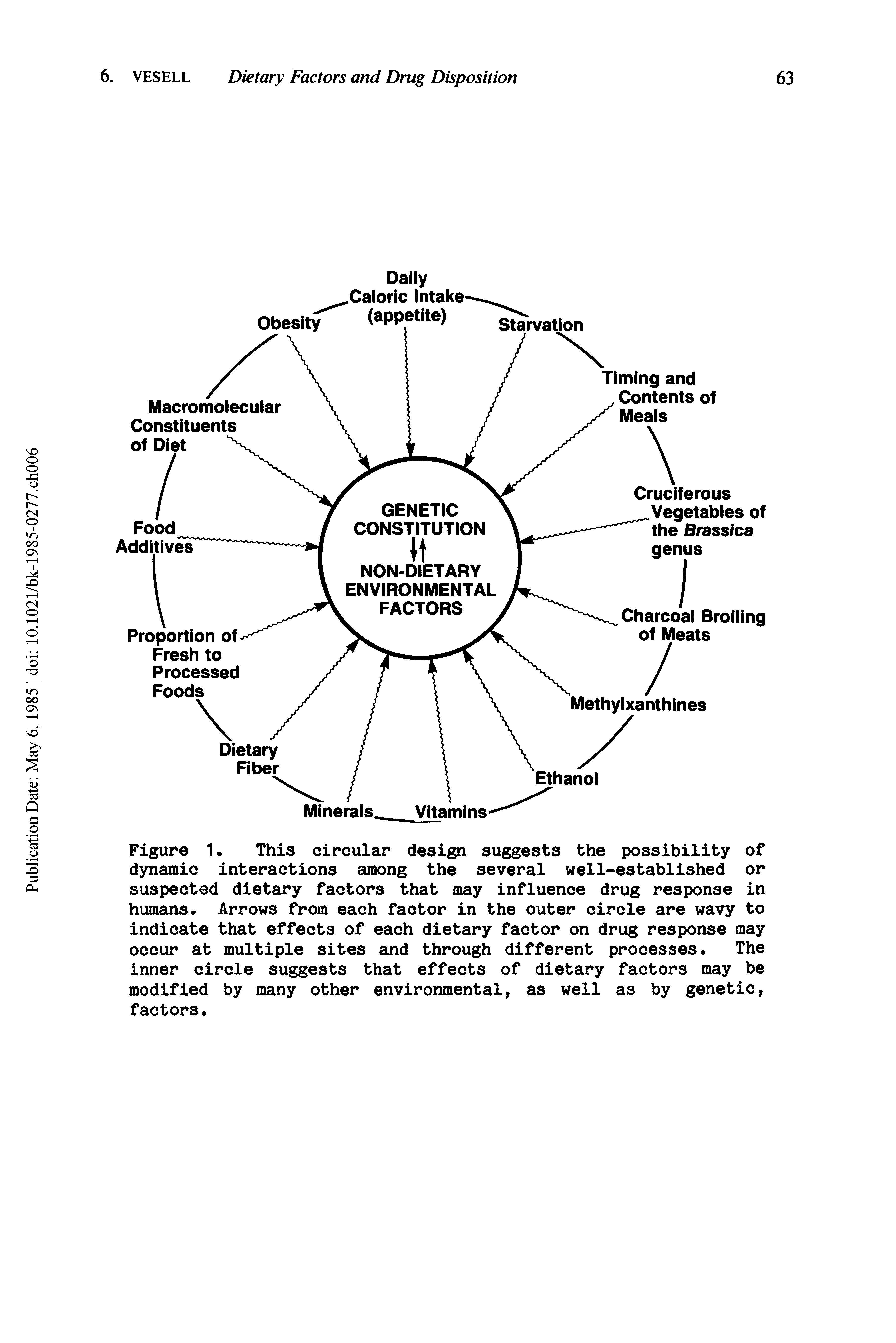 Figure 1 This circular design suggests the possibility of dynamic interactions among the several well-established or suspected dietary factors that may influence drug response in humans. Arrows from each factor in the outer circle are wavy to indicate that effects of each dietary factor on drug response may occur at multiple sites and through different processes. The inner circle suggests that effects of dietary factors may be modified by many other environmental, as well as by genetic, factors.