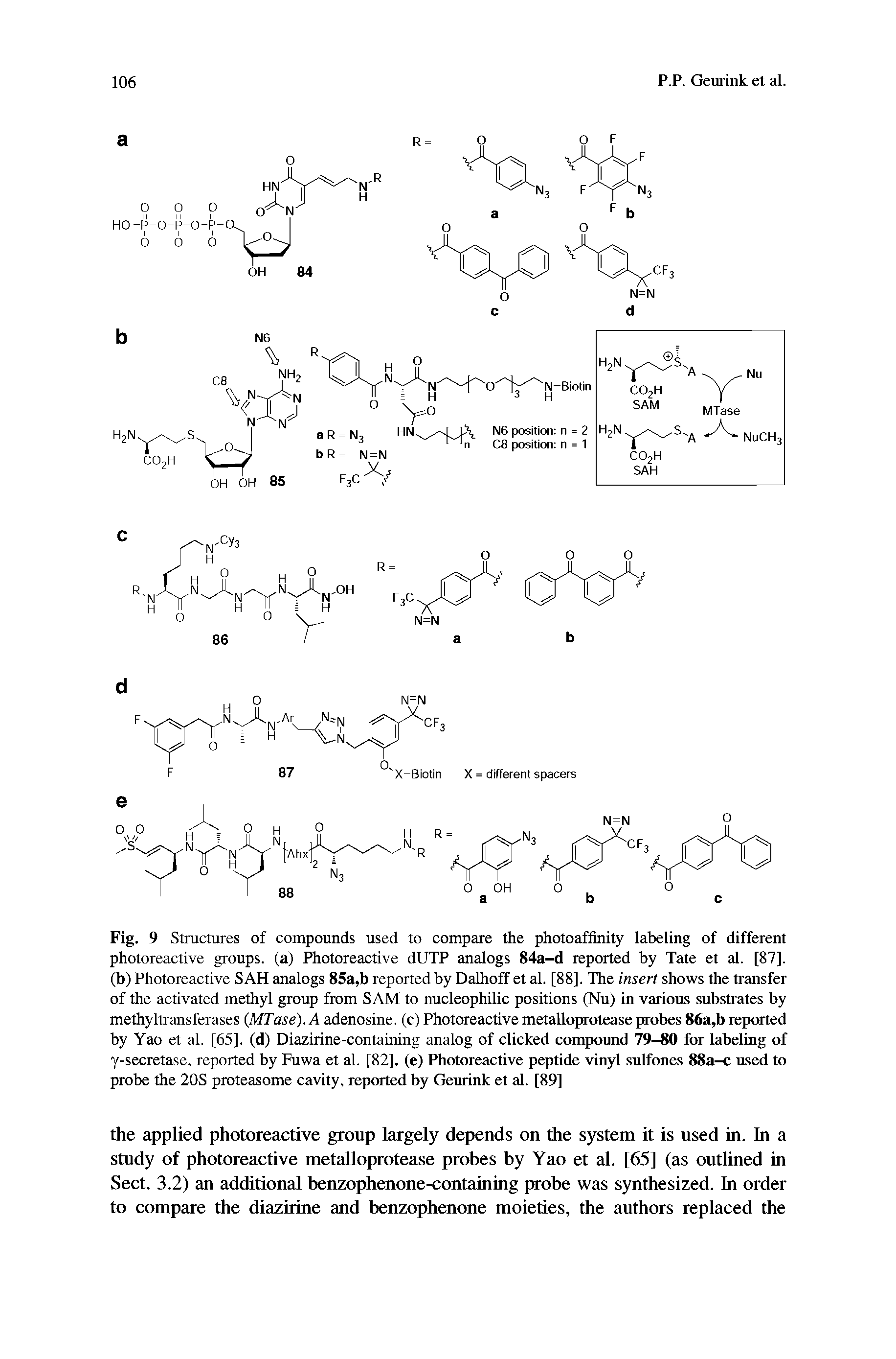 Fig. 9 Structures of compounds used to compare the photoaffinity labeling of different photoreactive groups, (a) Photoreactive dUTP analogs 84a-d reported by Tate et al. [87]. (b) Photoreactive SAH analogs 85a,b reported by Dalhoff et al. [88]. The insert shows the transfer of the activated methyl group from SAM to nucleophilic positions (Nu) in various substrates by methyltransferases (MTase). A adenosine, (c) Photoreactive metalloprotease probes 86a,b reported by Yao et al. [65]. (d) Diazirine-containing analog of clicked compound 79-80 for labeling of y-secretase, reported by Fuwa et al. [82], (e) Photoreactive peptide vinyl sulfones 88a-c used to probe the 20S proteasome cavity, reported by Geurink et al. [89]...