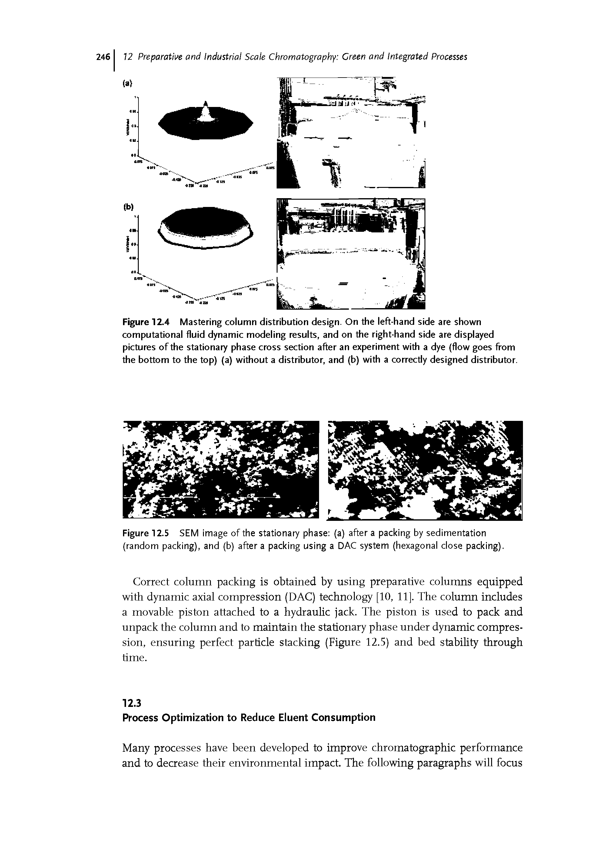 Figure 12.4 Mastering column distribution design. On the left-hand side are shown computational fluid dynamic modeling results, and on the right-hand side are displayed pictures of the stationary phase cross section after an experiment with a dye (flow goes from the bottom to the top) (a) without a distributor, and (b) with a correctly designed distributor.