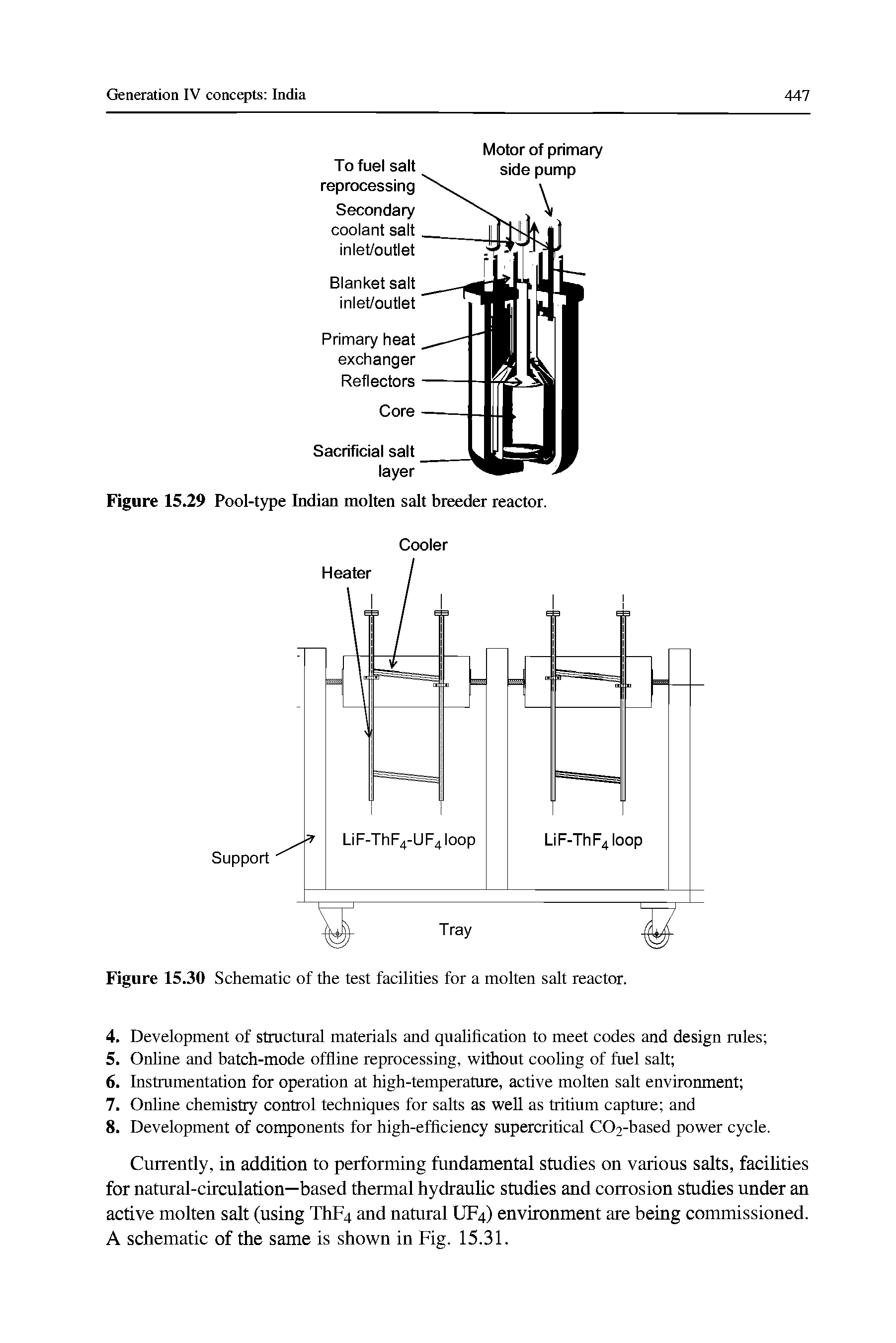Figure 15.29 Pool-type Indian molten salt breeder reactor.