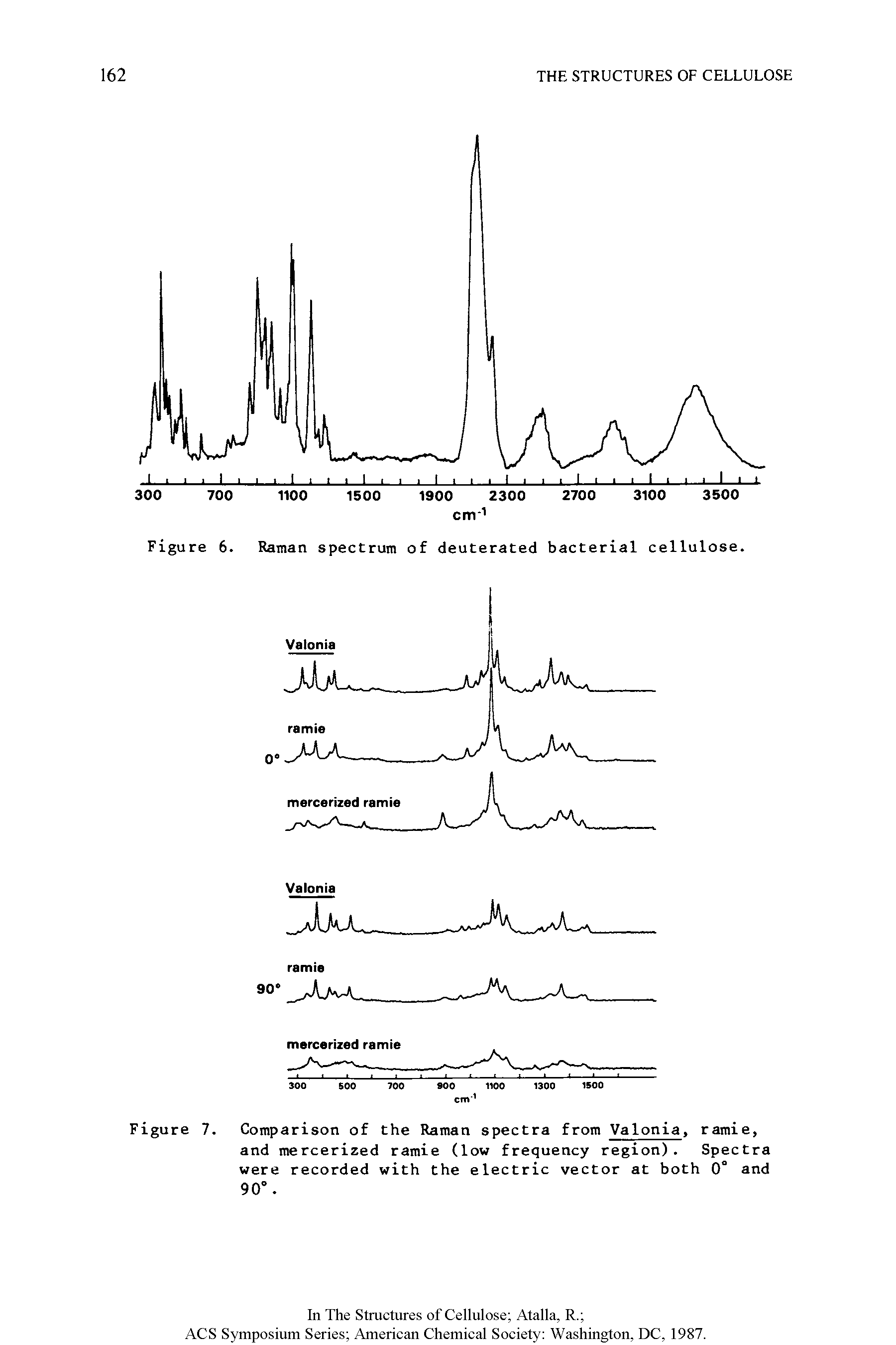 Figure 7. Comparison of the Raman spectra from Valonia, ramie, and mercerized ramie (low frequency region). Spectra were recorded with the electric vector at both 0 and 90°.
