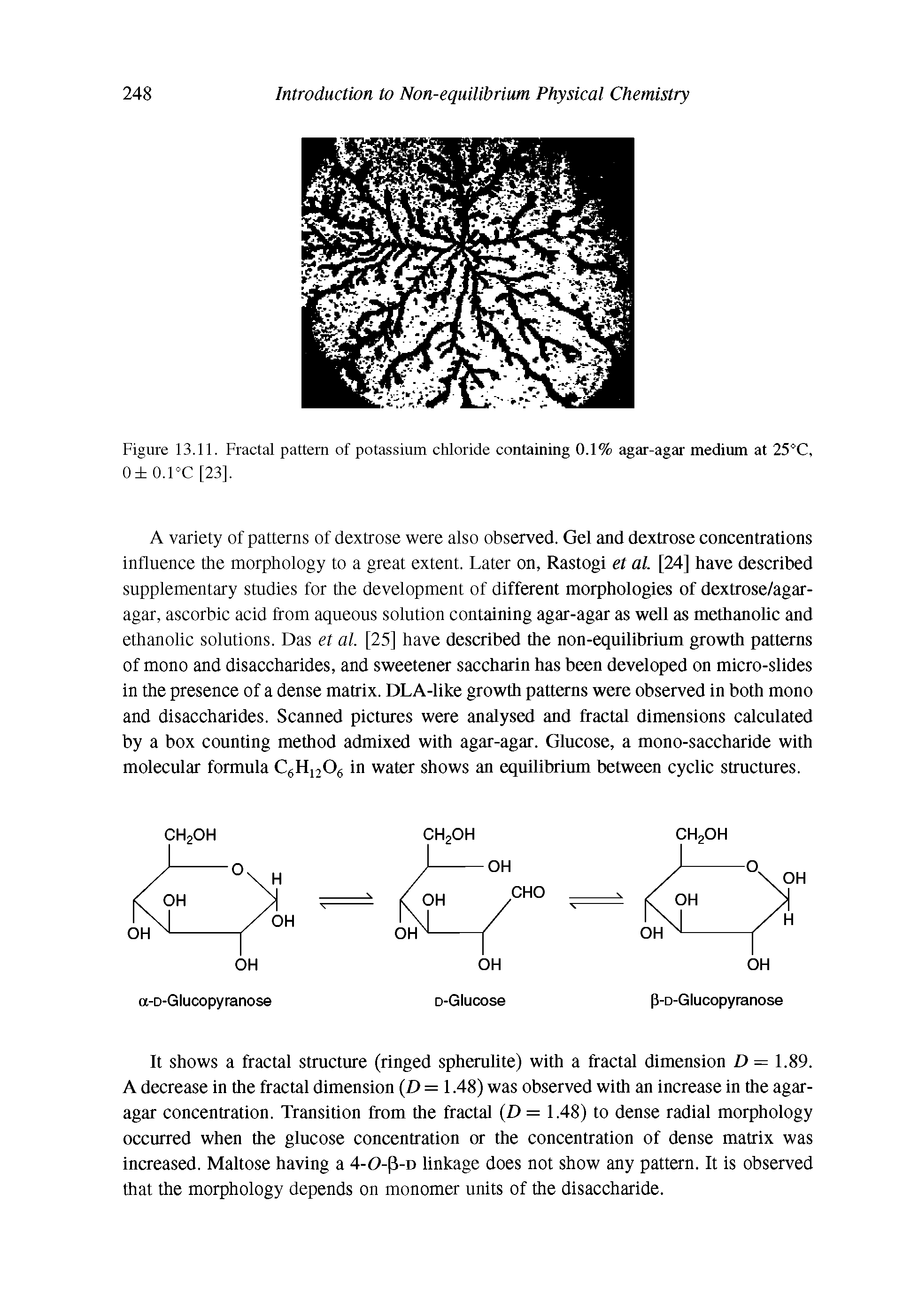 Figure 13.11. Fractal pattern of potassium chloride containing 0.1% agar-agar medium at 25°C, o o.rc [23].