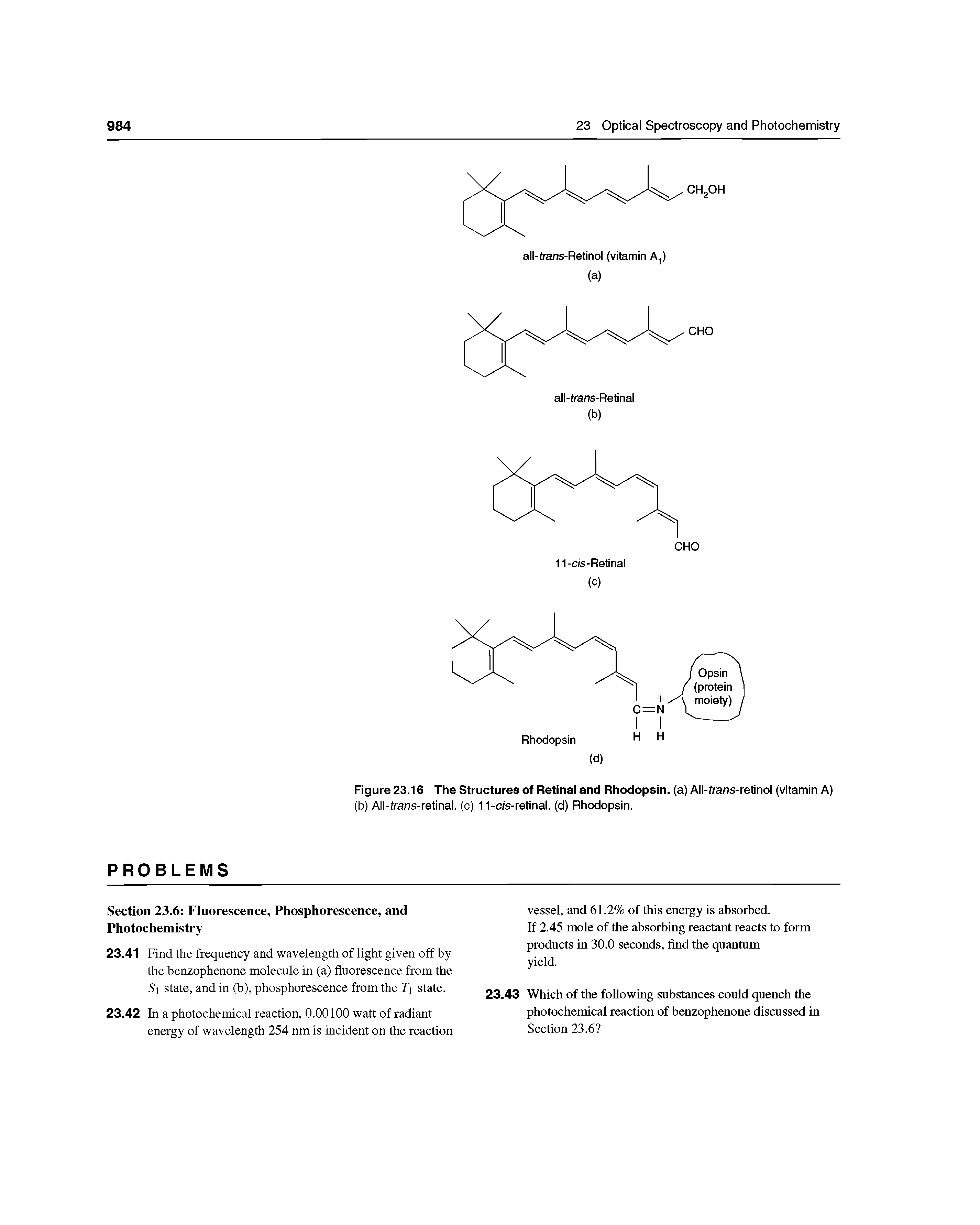 Figure 23.16 The Structures of Retinal and Rhodopsin. (a) All-frans-retinol (vitamin A)...