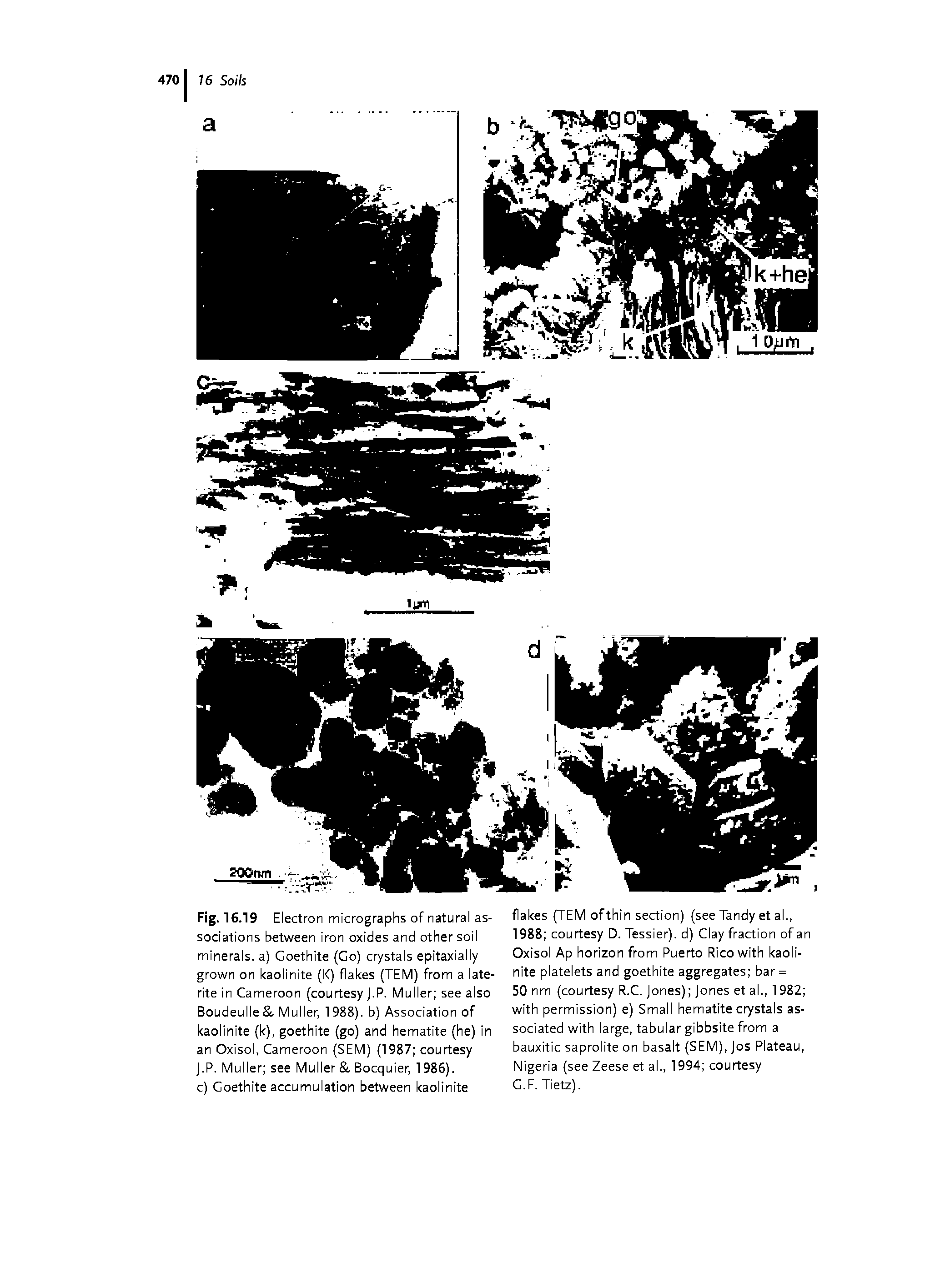Fig. 16.19 Electron micrographs of natural associations between iron oxides and other soil minerals, a) Goethite (Co) crystals epitaxially grown on kaolinite (K) flakes (TEM) from a late-rite in Cameroon (courtesy J.P. Muller see also Boudeulle, Muller, 1988). b) Association of kaolinite (k), goethite (go) and hematite (he) in an Oxisol, Cameroon (SEM) (1987 courtesy J.P. Muller see Muller, Bocquier, 1986). c) Goethite accumulation between kaolinite...