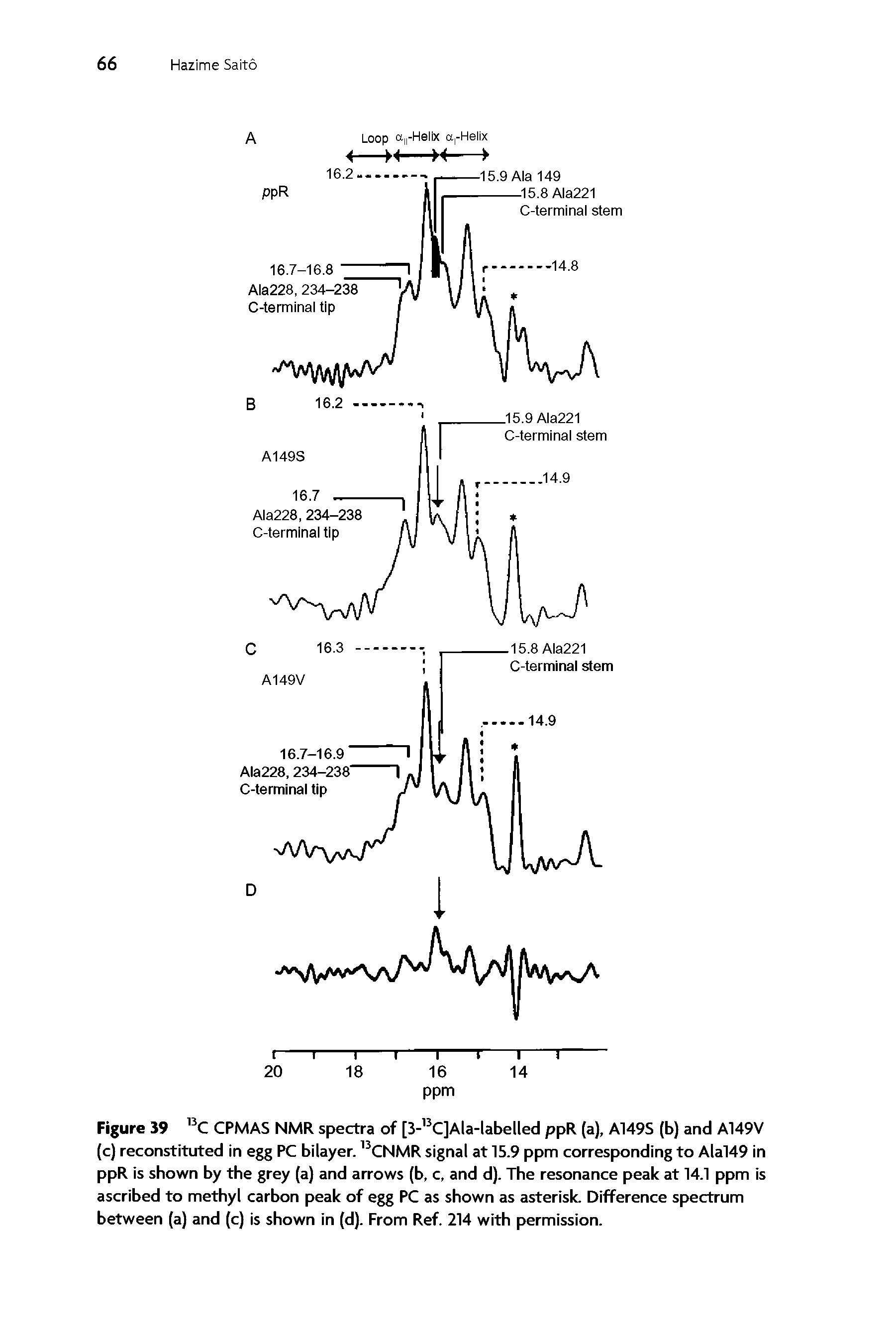 Figure 39 BC CPMAS NMR spectra of [3- 3C]Ala-labelled ppR (a), A149S (b) and A149V (c) reconstituted in egg PC bilayer. 13CNMR signal at 15.9 ppm corresponding to Alal49 in ppR is shown by the grey (a) and arrows (b, c, and d). The resonance peak at 14.1 ppm is ascribed to methyl carbon peak of egg PC as shown as asterisk. Difference spectrum between (a) and (c) is shown in (d). From Ref. 214 with permission.