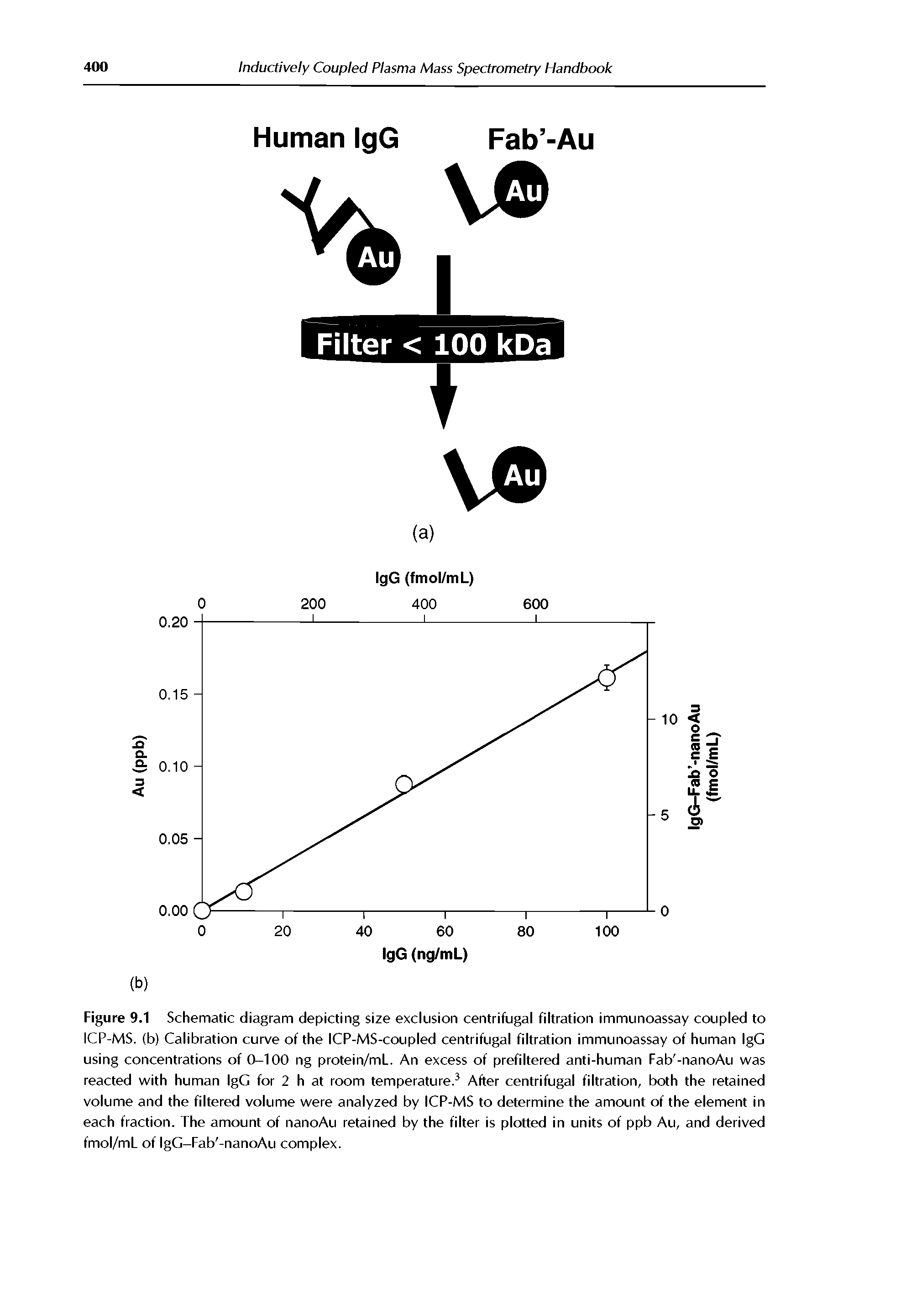 Figure 9.1 Schematic diagram depicting size exclusion centrifugal filtration immunoassay coupled to ICP-MS. (b) Calibration curve of the ICP-MSK oupled centrifugal filtration immunoassay of human IgG using concentrations of 0-100 ng protein/mL. An excess of prefiltered anti-human Fab -nanoAu was reacted with human IgG for 2 h at room temperature. After centrifugal filtration, both the retained volume and the filtered volume were analyzed by ICP-MS to determine the amount of the element in each fraction. The amount of nanoAu retained by the filter is plotted in units of ppb Au, and derived fmol/mL of IgG-Fab -nanoAu complex.