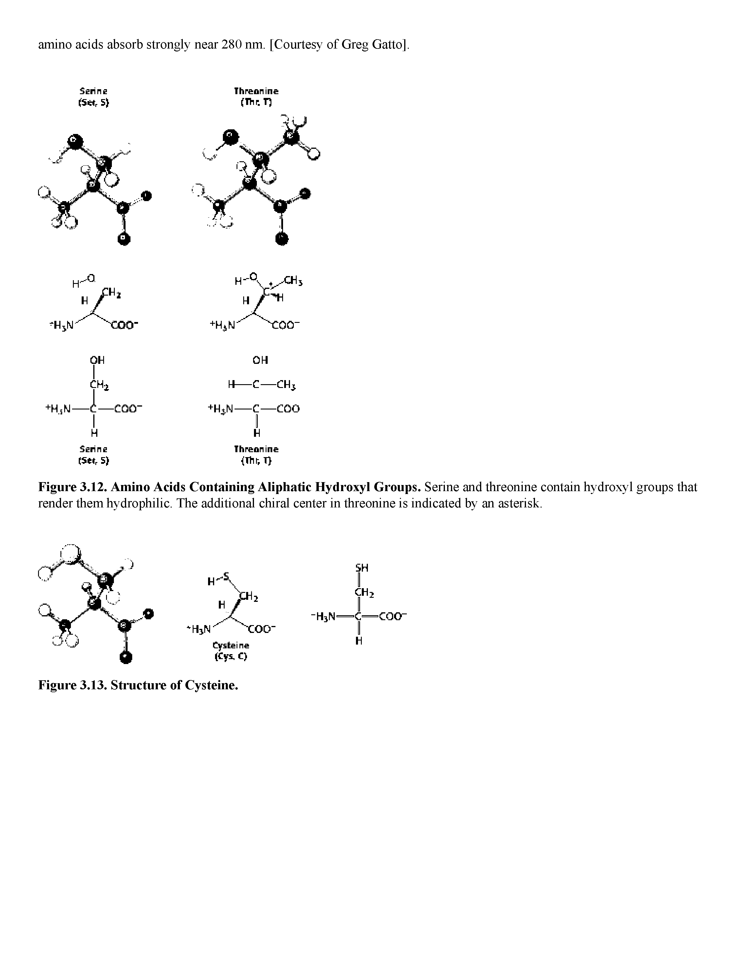 Figure 3.12. Amino Acids Containing Aliphatic Hydroxyl Groups. Serine and threonine contain hydroxyl groups that render them hydrophilic. The additional chiral center in threonine is indicated by an asterisk.