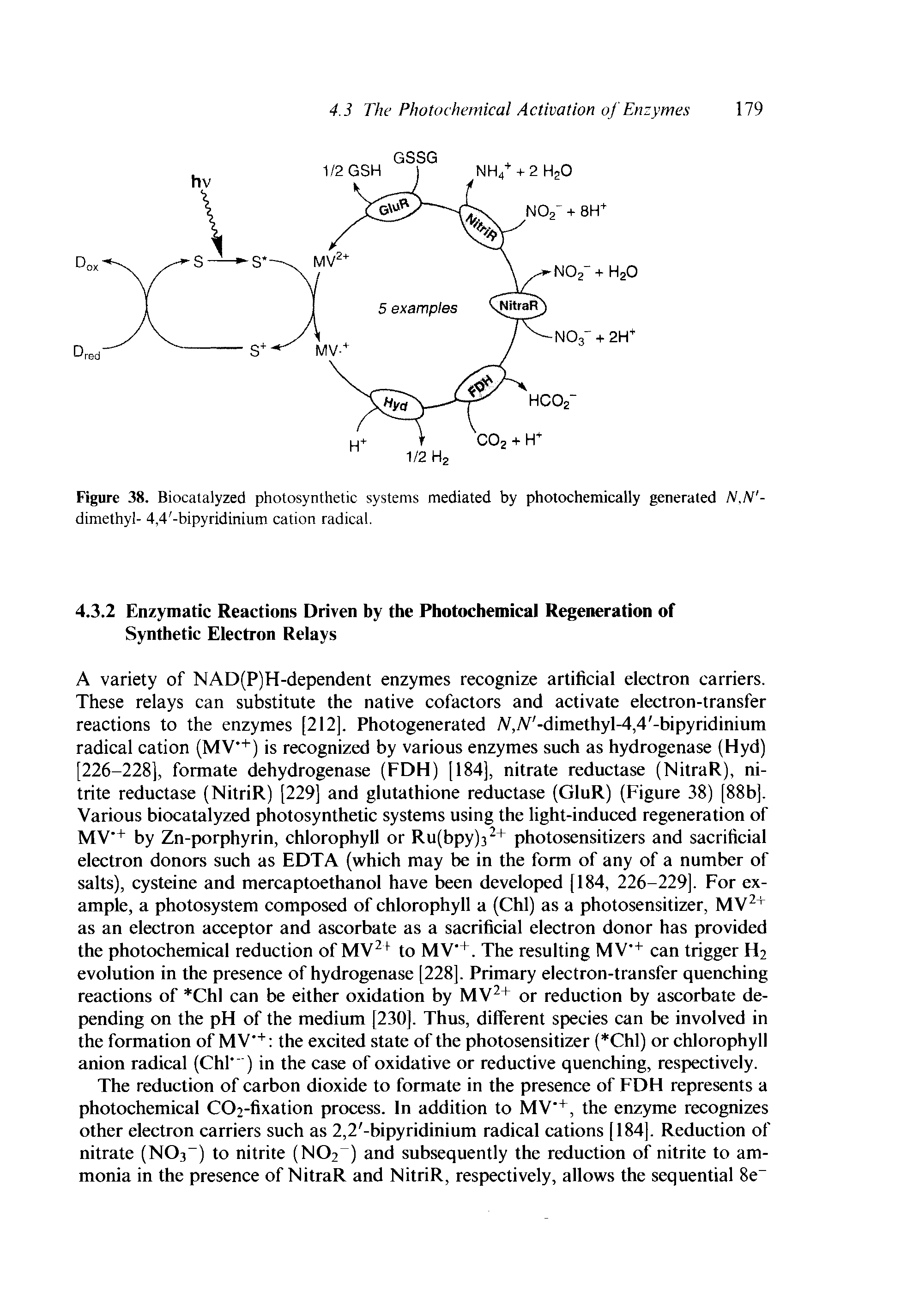 Figure 38. Biocatalyzed photosynthetic systems mediated by photochemically generated N.N -dimethyl- 4,4 -bipyridinium cation radical.