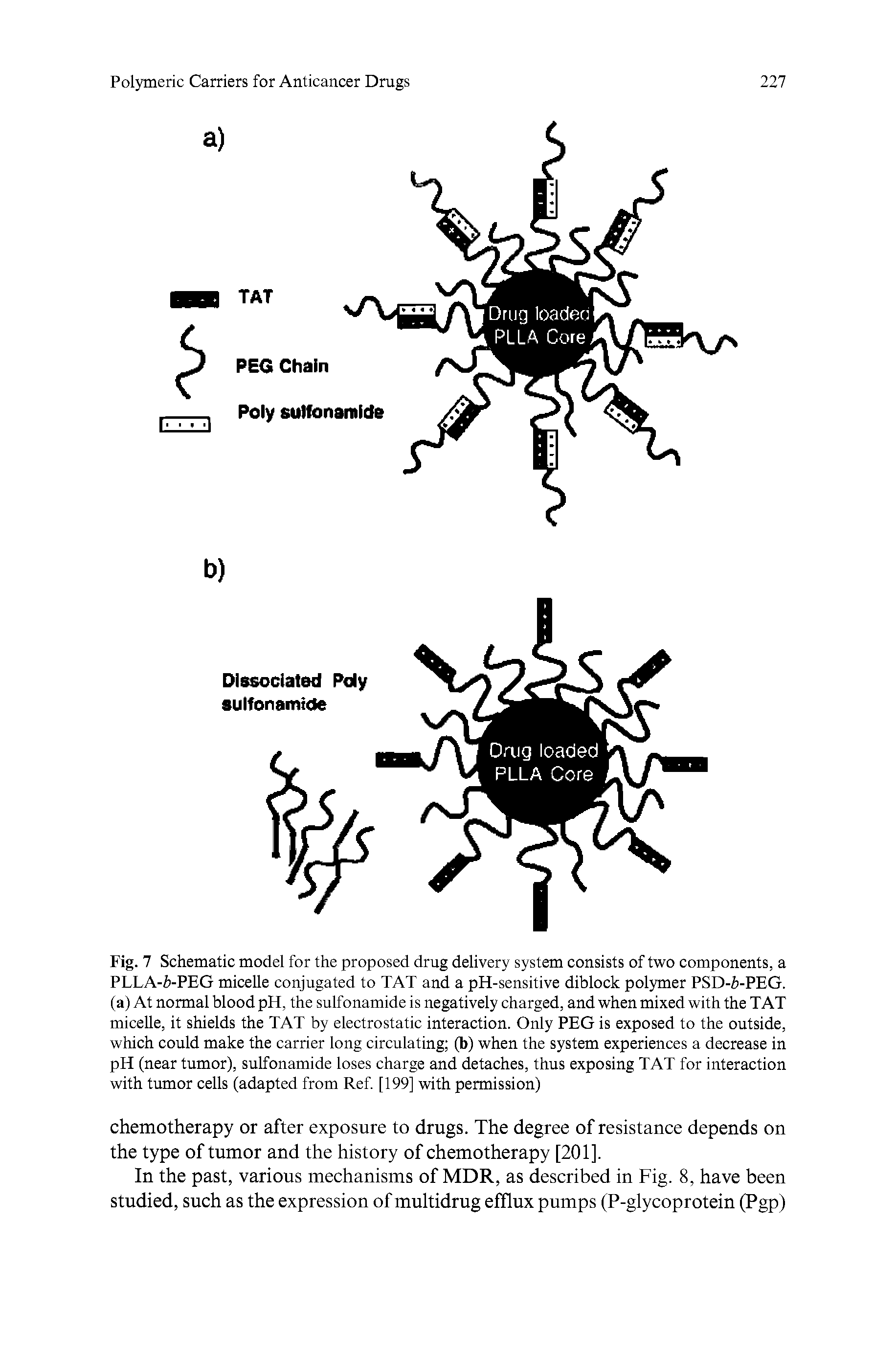 Fig. 7 Schematic model for the proposed drug delivery system consists of two components, a PLLA-h-PEG micelle conjugated to TAT and a pH-sensitive diblock polymer PSD-i-PEG. (a) At normal blood pH, the sulfonamide is negatively charged, and when mixed with the TAT micelle, it shields the TAT by electrostatic interaction. Only PEG is exposed to the outside, which could make the carrier long circulating (b) when the system experiences a decrease in pH (near tumor), sulfonamide loses charge and detaches, thus exposing TAT for interaction with tumor cells (adapted from Ref [199] with permission)...