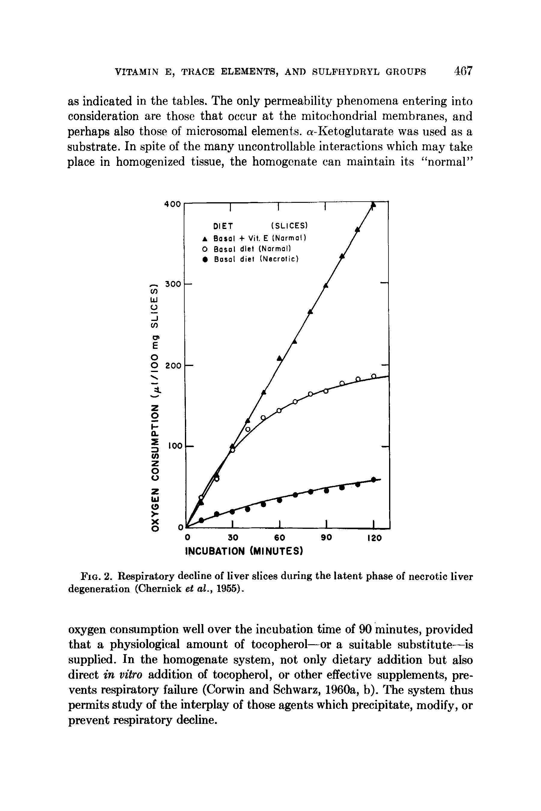 Fig. 2. Respiratory decline of liver slices during the latent phase of necrotic liver degeneration (Chemick et al., 1955).
