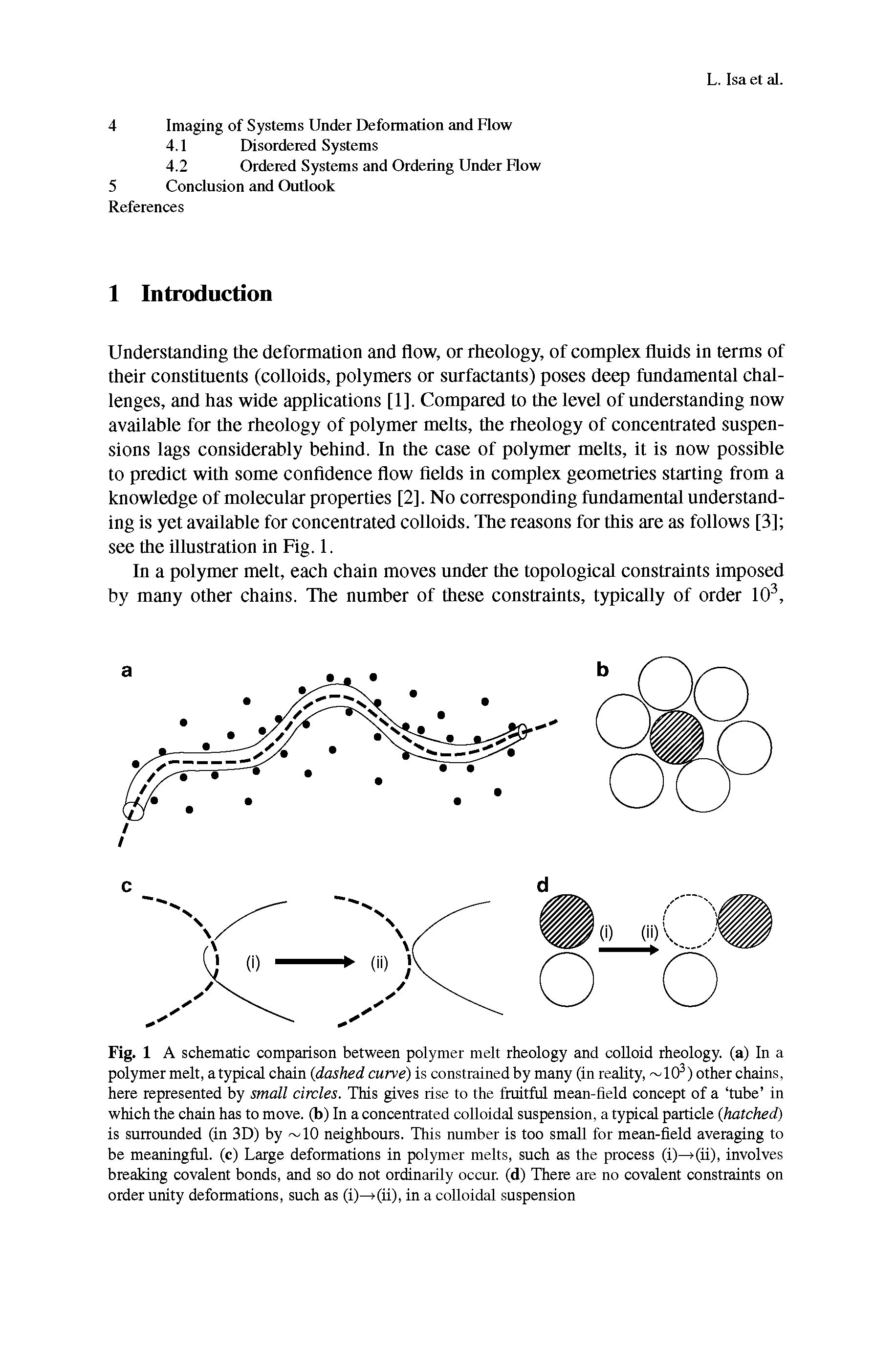 Fig. 1 A schematic comparison between polymer melt rheology and colloid rheology, (a) In a polymer melt, atypical chain (dashed curve) is constrained by many (in reality, 10 ) other chains, here represented by small circles. This gives rise to the fruitful mean-field concept of a tube in which the chain has to move, (b) In a concentrated colloidal suspension, a typical particle (hatched) is surrounded (in 3D) by 10 neighbours. This number is too small for mean-field averaging to be meaningful, (c) Large deformations in polymer melts, such as the process (i) -(ii), involves breaking covalent bonds, and so do not ordinarily occur, (d) There are no covalent constraints on order unity deformations, such as (i)—>(ii), in a colloidal suspension...