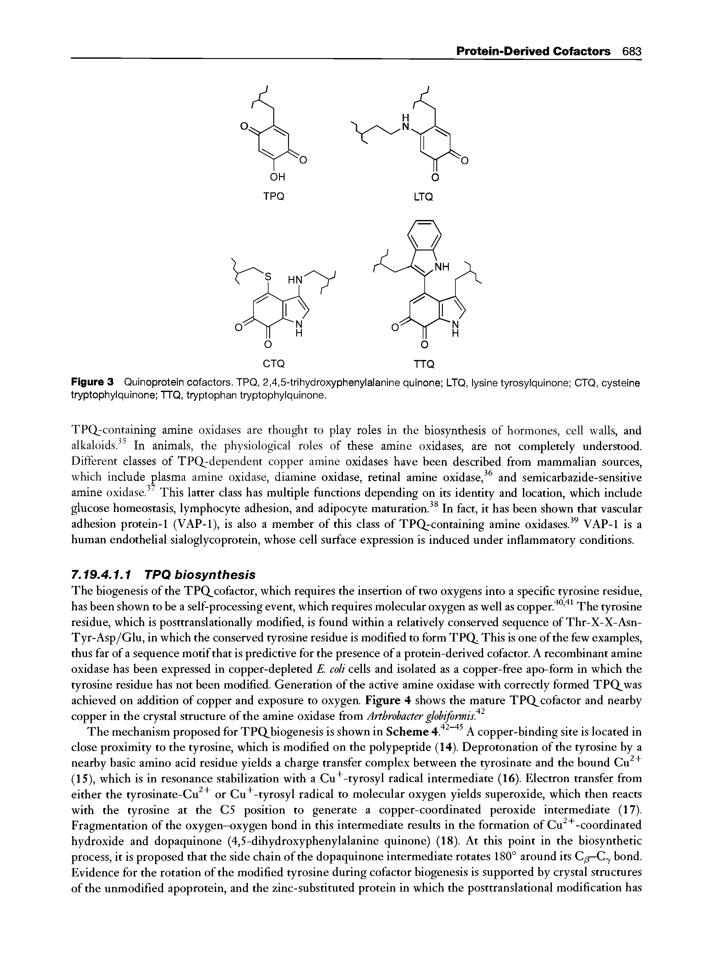 Figure 3 Quinoprotein cofactors. TPQ, 2,4,5-trihydroxyphenylalanine quinone LTQ, lysine tyrosylquinone CTQ, cysteine tryptophylquinone TTQ, tryptophan tryptophylquinone.