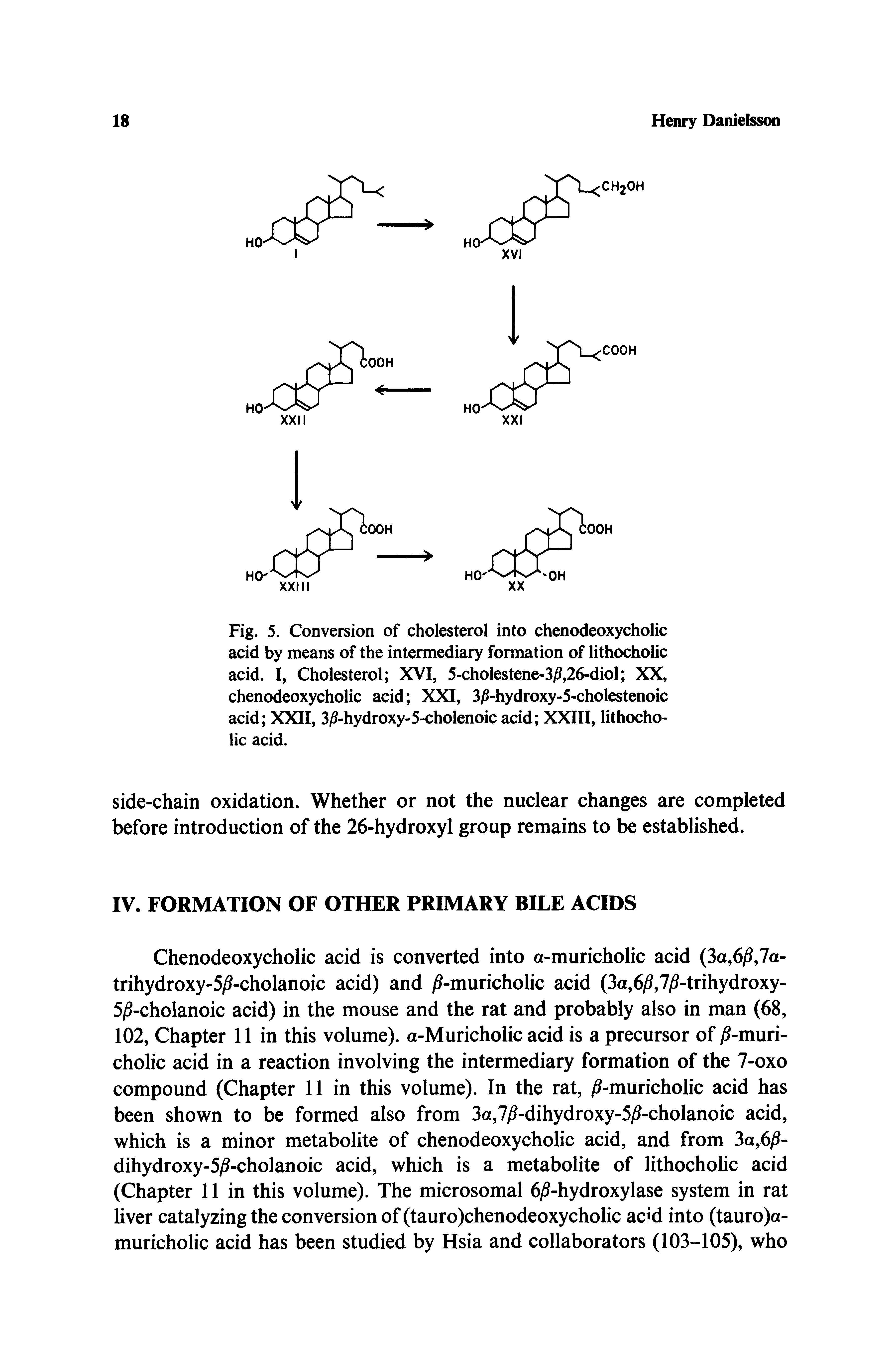 Fig. 5. Conversion of cholesterol into chenodeoxycholic acid by means of the intermediary formation of lithocholic acid. I, Cholesterol XVI, 5-cholestene-3ft26-diol XX, chenodeoxycholic acid XXI, 3j5-hydroxy-5-cholestenoic acid XXII, 3/ -hydroxy-5-cholenoic acid XXIII, lithocholic acid.