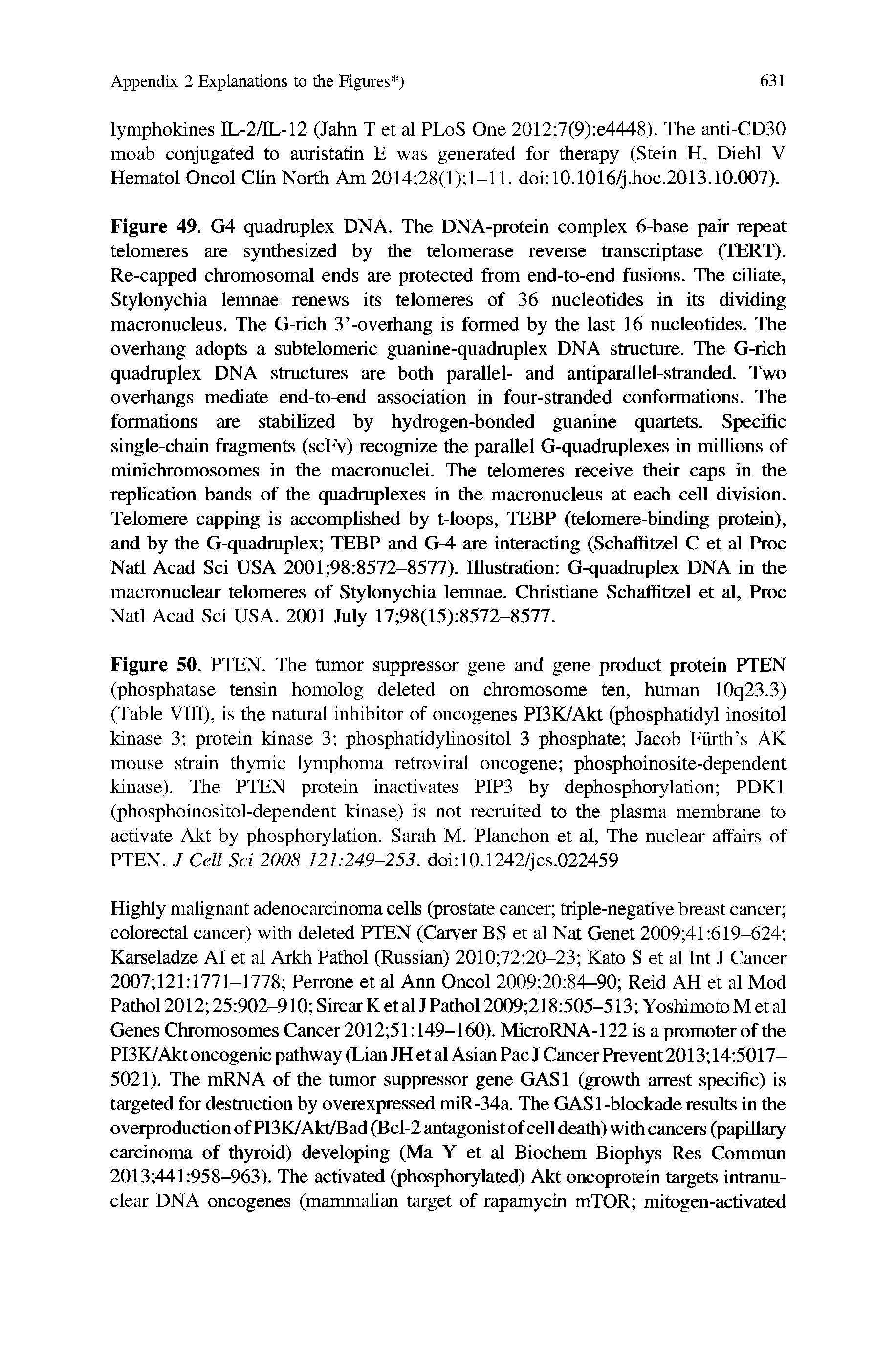 Figure 50. PTEN. The tumor suppressor gene and gene product protein PTEN (phosphatase tensin homolog deleted on chromosome ten, human 10q23.3) (Table VIII), is the natural inhibitor of oncogenes PI3K/Akt (phosphatidyl inositol kinase 3 protein kinase 3 phosphatidylinositol 3 phosphate Jacob Furth s AK mouse strain thymic lymphoma retroviral oncogene phosphoinosite-dependent kinase). The PTEN protein inactivates PIP3 by dephosphorylation PDKl (phosphoinositol-dependent kinase) is not recruited to the plasma membrane to activate Akt by phosphorylation. Sarah M. Planchon et al. The nuclear affairs of PTEN. J Cell Sci 2008 121 249-253. doi 10.1242/jcs.022459...