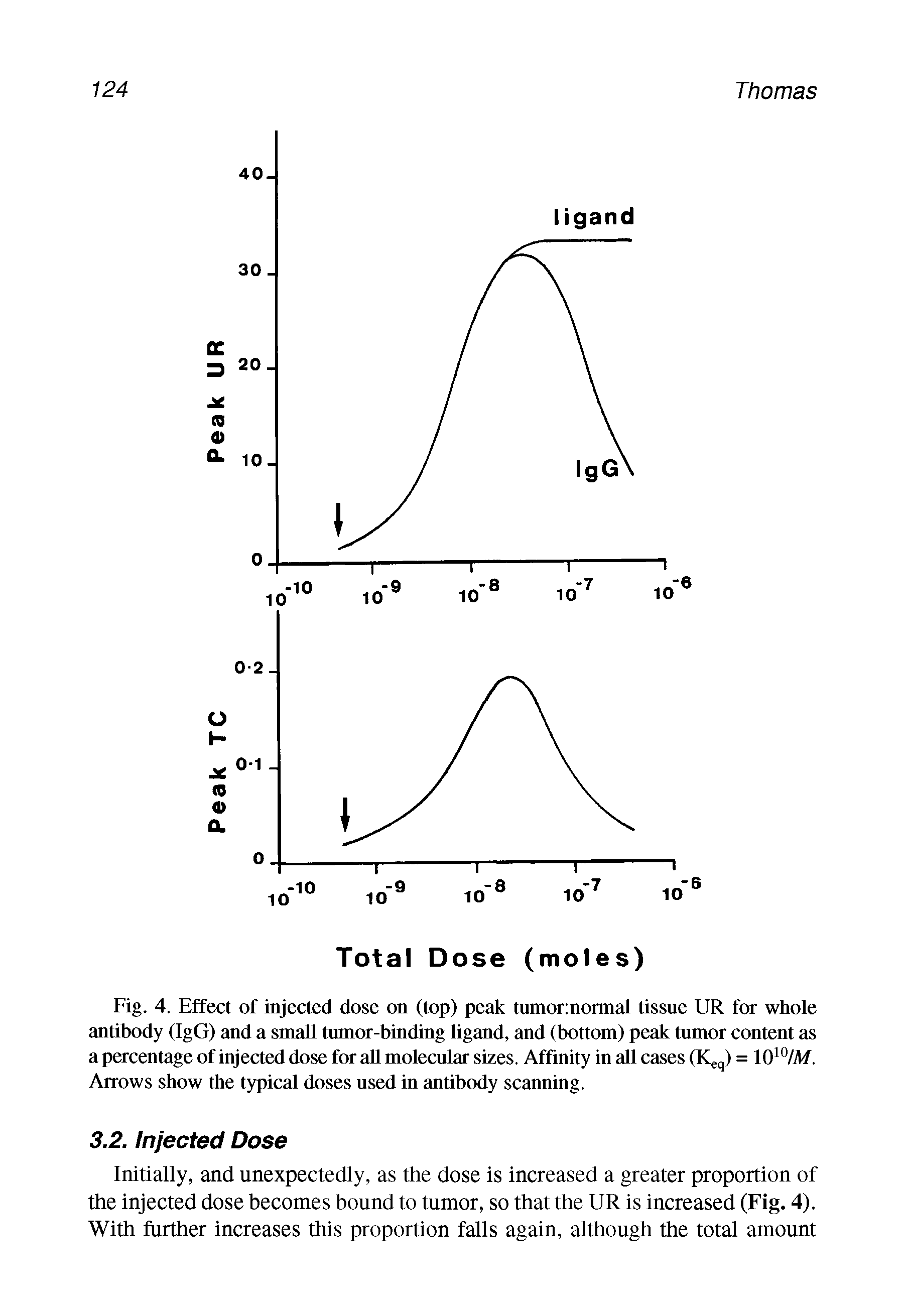 Fig. 4. Effect of injected dose on (top) peak tumor normal tissue UR for whole antibody (IgG) and a small tumor-binding ligand, and (bottom) peak tumor content as a percentage of injected dose for all molecular sizes. Affinity in all cases (Keq) = 1010/M. Arrows show the typical doses used in antibody scanning.