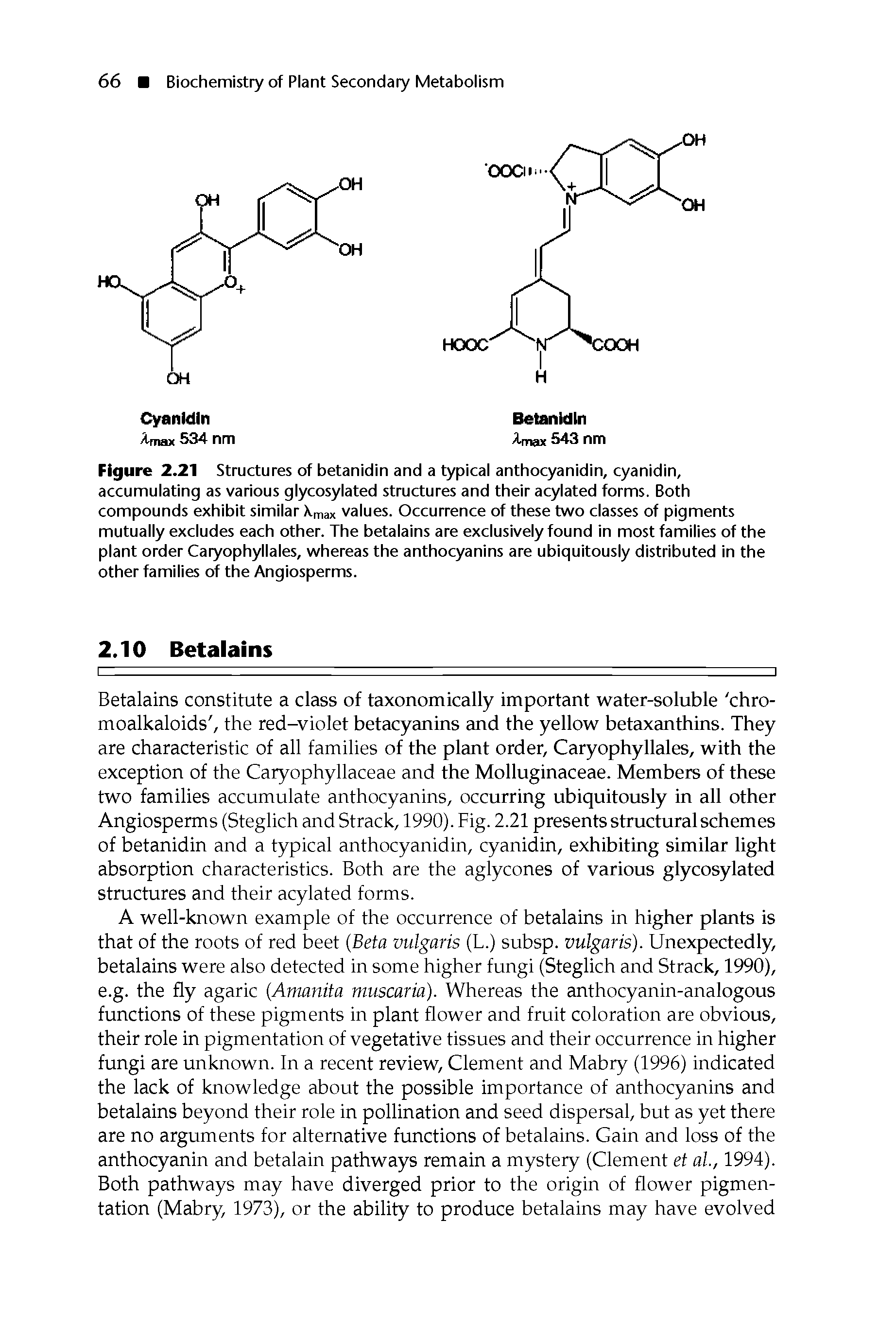 Figure 2.21 Structures of betanldln and a typical anthocyanidin, cyanidin, accumulating as various glycosylated structures and their acylated forms. Both compounds exhibit similar max values. Occurrence of these two classes of pigments mutually excludes each other. The betalains are exclusively found in most families of the plant order Caryophyllales, whereas the anthocyanins are ubiquitously distributed in the other families of the Angiosperms.