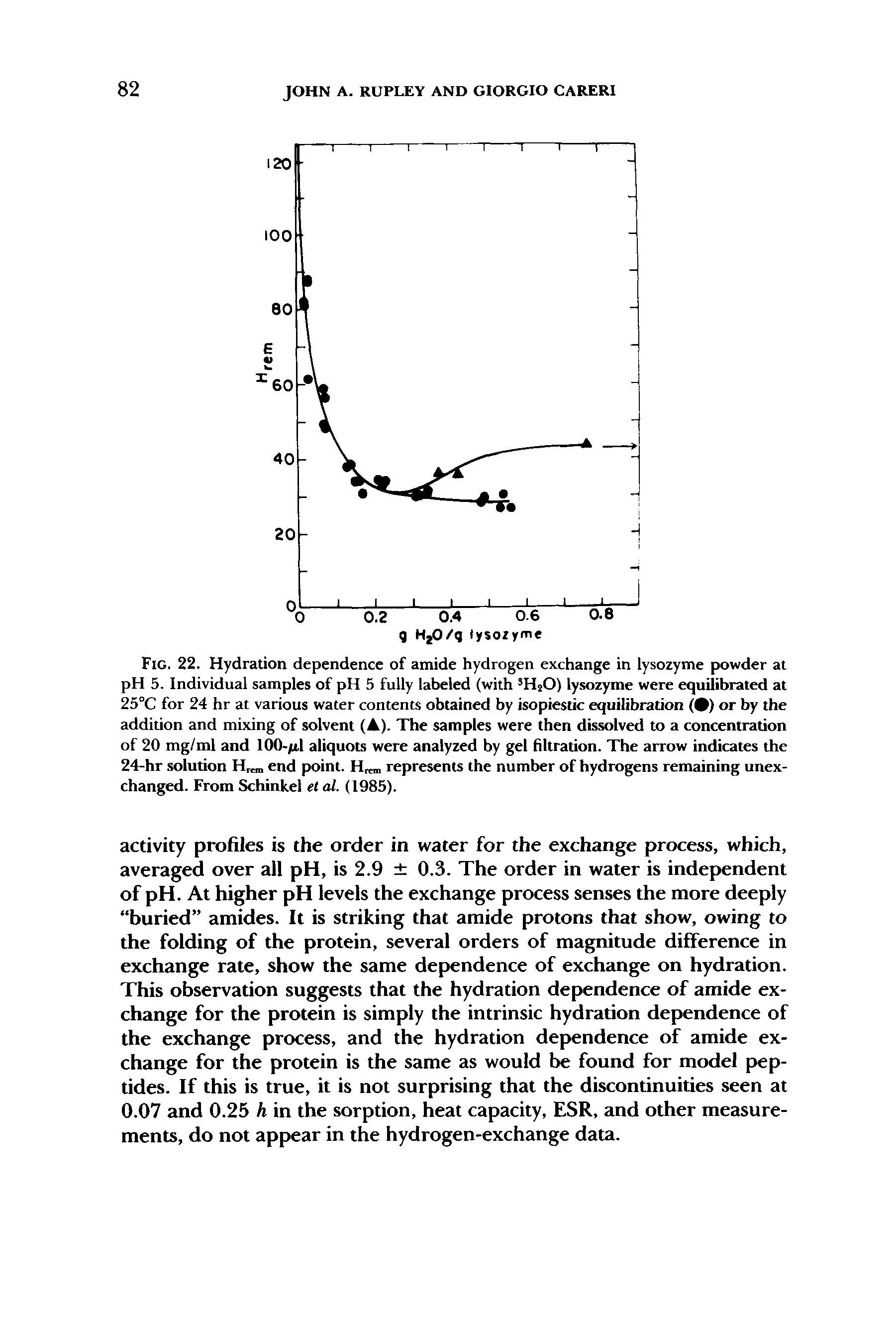 Fig. 22. Hydration dependence of amide hydrogen exchange in lysozyme powder at pH 5. Individual samples of pH 5 fully labeled (with H O) lysozyme were equilibrated at 25°C for 24 hr at various water contents obtained by isopiestic equilibration ( ) or by the addition and mixing of solvent (A). The samples were then dissolved to a concentration of 20 mg/ml and 100-/U.1 aliquots were analyzed by gel filtration. The arrow indicates the 24-hr solution H . end point. H, represents the number of hydrogens remaining unexchanged. From Schinkel el al. (1985).