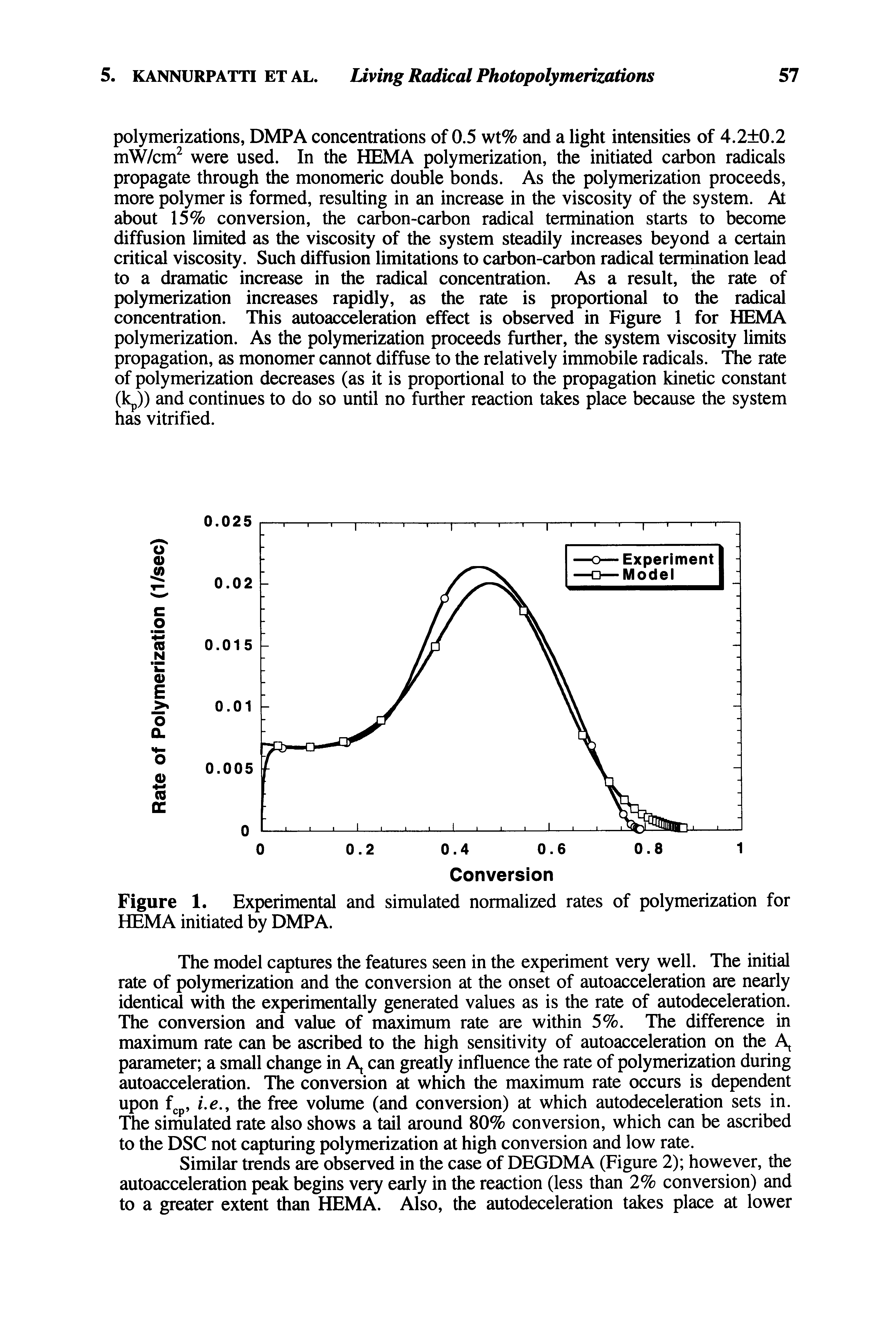Figure 1. Experimental and simulated normalized rates of polymerization for HEMA initiated by DMPA.