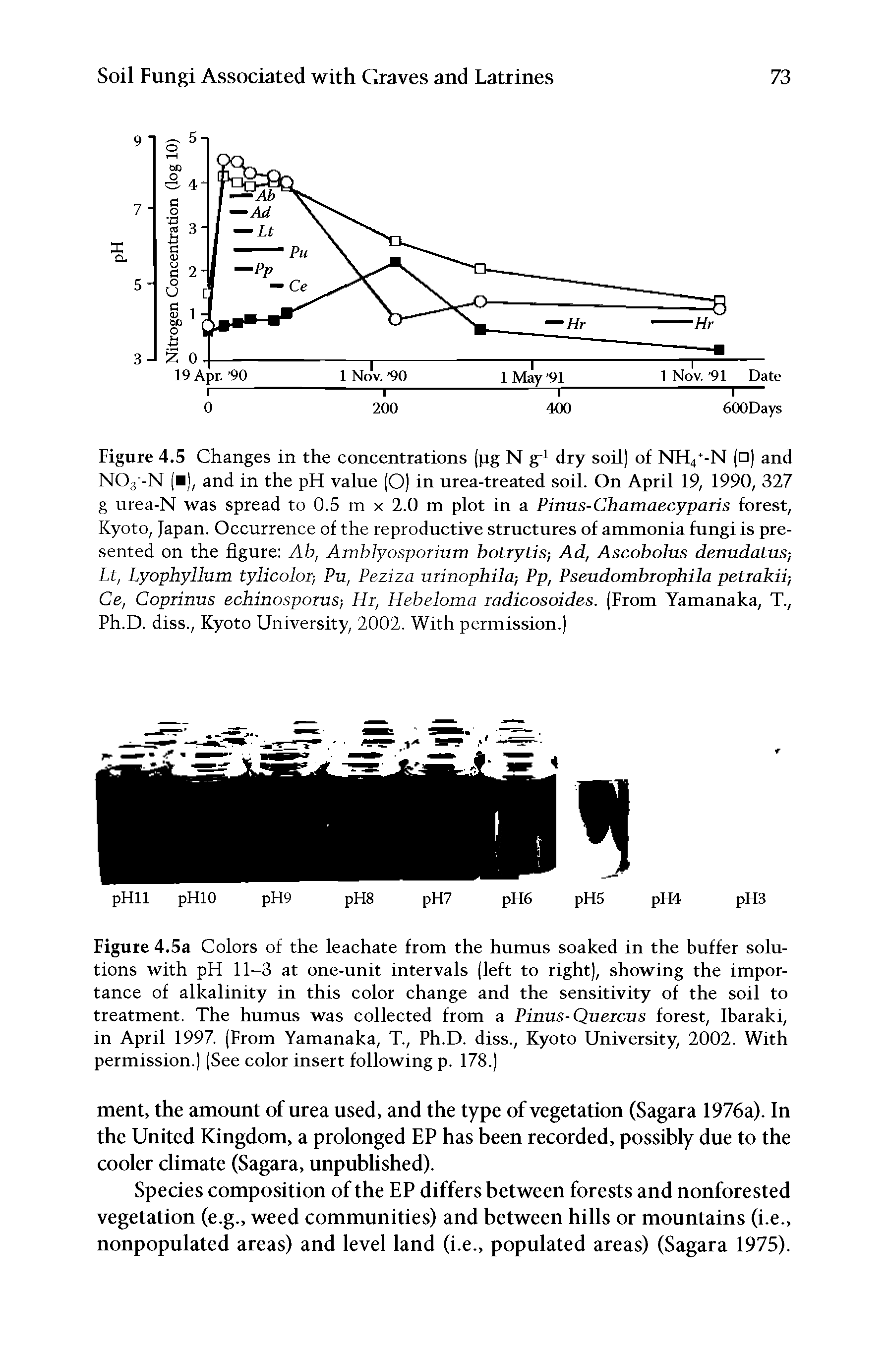 Figure 4.5 Changes in the concentrations (jig N gJ dry soil) of NH4 -N ( ) and N03 -N ( ), and in the pH value (O) in urea-treated soil. On April 19, 1990, 327 g urea-N was spread to 0.5 m x 2.0 m plot in a Pinus-Chamaecyparis forest, Kyoto, Japan. Occurrence of the reproductive structures of ammonia fungi is presented on the figure Ab, Amblyospormm botrytis-, Ad, Ascobolus denudatus-, Lt, Lyophyllum tylicolor-, Pu, Peziza urinophila-, Pp, Pseudombrophila petrakii-, Ce, Coprinus echinosporus-, Hr, Hebeloma radicosoides. (From Yamanaka, T., Ph.D. diss., Kyoto University, 2002. With permission.)...