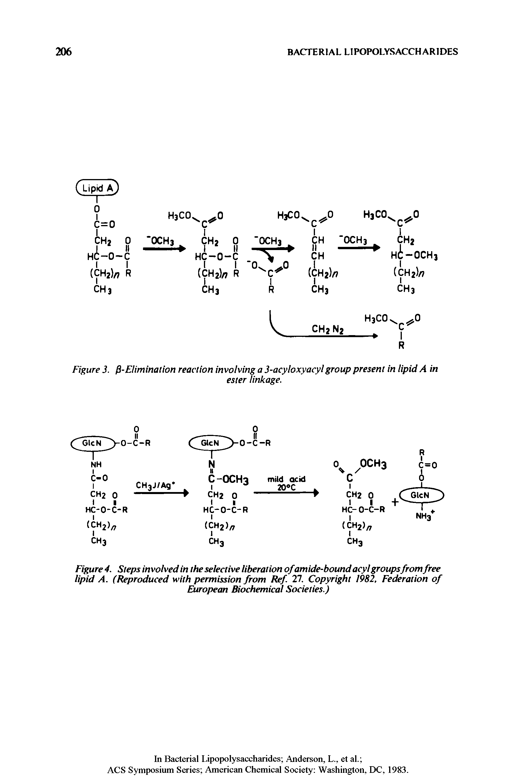 Figure 4. Steps involved in the selective liberation ofamide-bound acyl groupsfrom free lipid A. (Reproduced with permission from Ref 27. Copyright 1982, Federation of European Biochemical Societies.)...